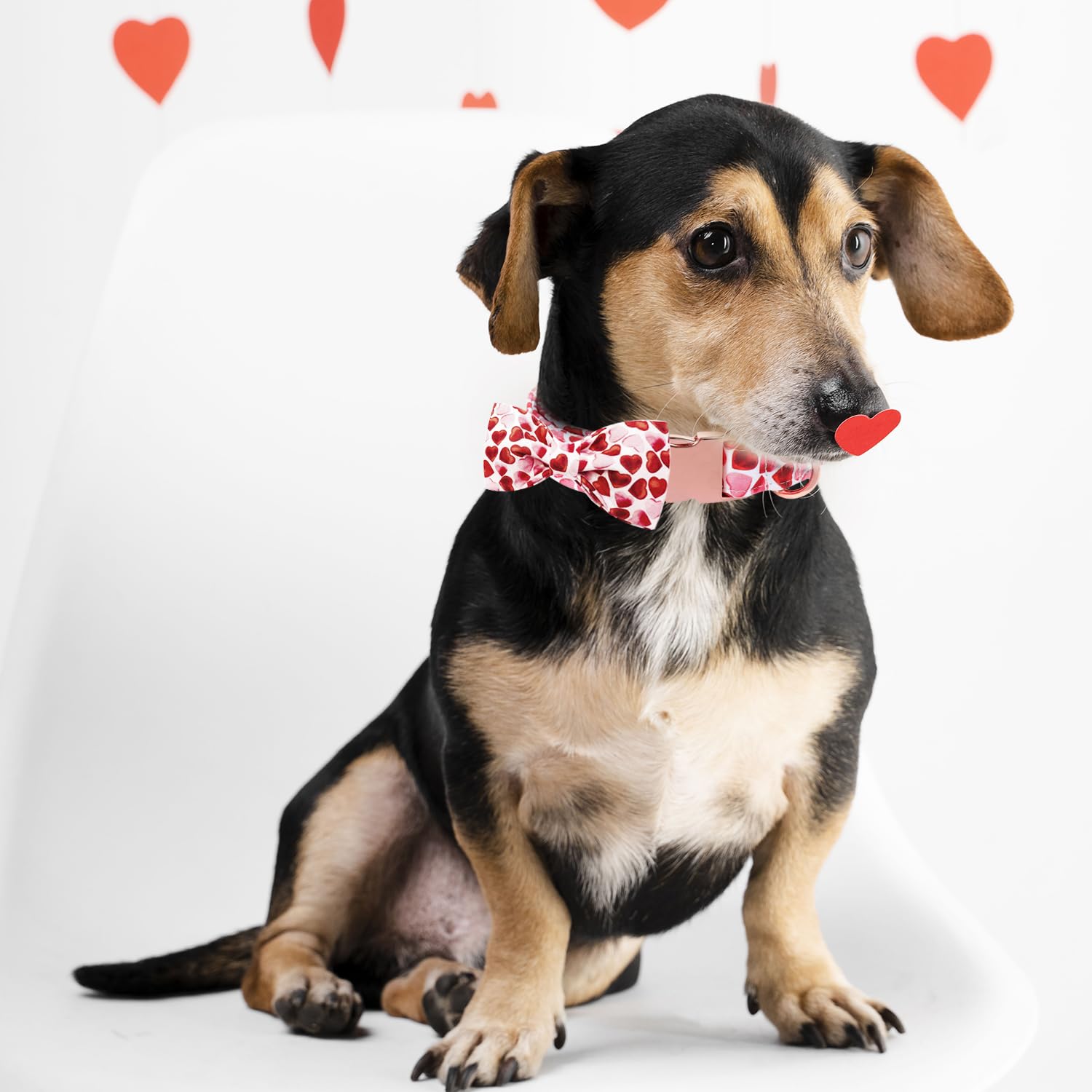 M MACA BATES Valentine Day Love You Sweet Heart Dog Collar with Bow Tie for Dogs - Red, 10-16 inches - Soft Adjustable Breakaway
