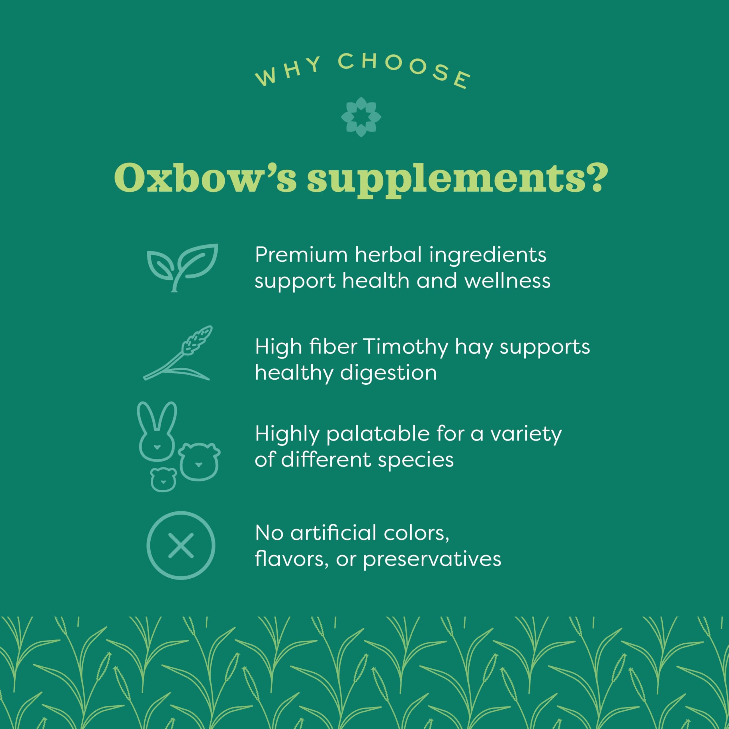Oxbow Vitamin C Supplement for Small Animals, 4.2 oz - Recommended by Veterinarians, Made in the USA