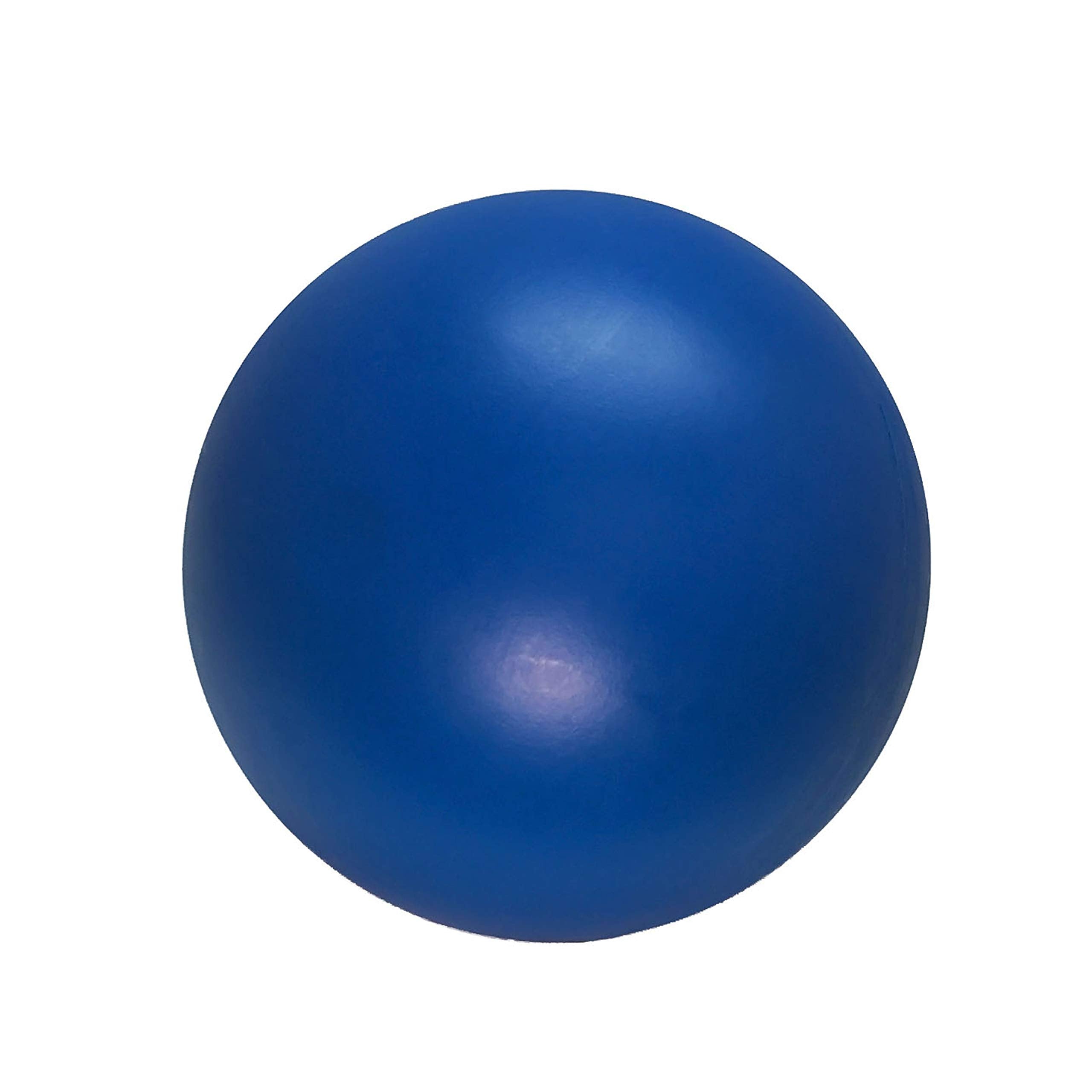Virtually Indestructible Best Ball For Dogs, 10-Inch
