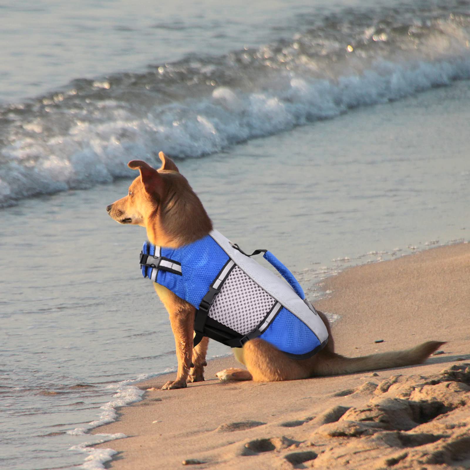 Dog Life Jacket Swimming Vest Lightweight High Reflective Pet Lifesaver With Lift Handle, Leash Ring Blue,S