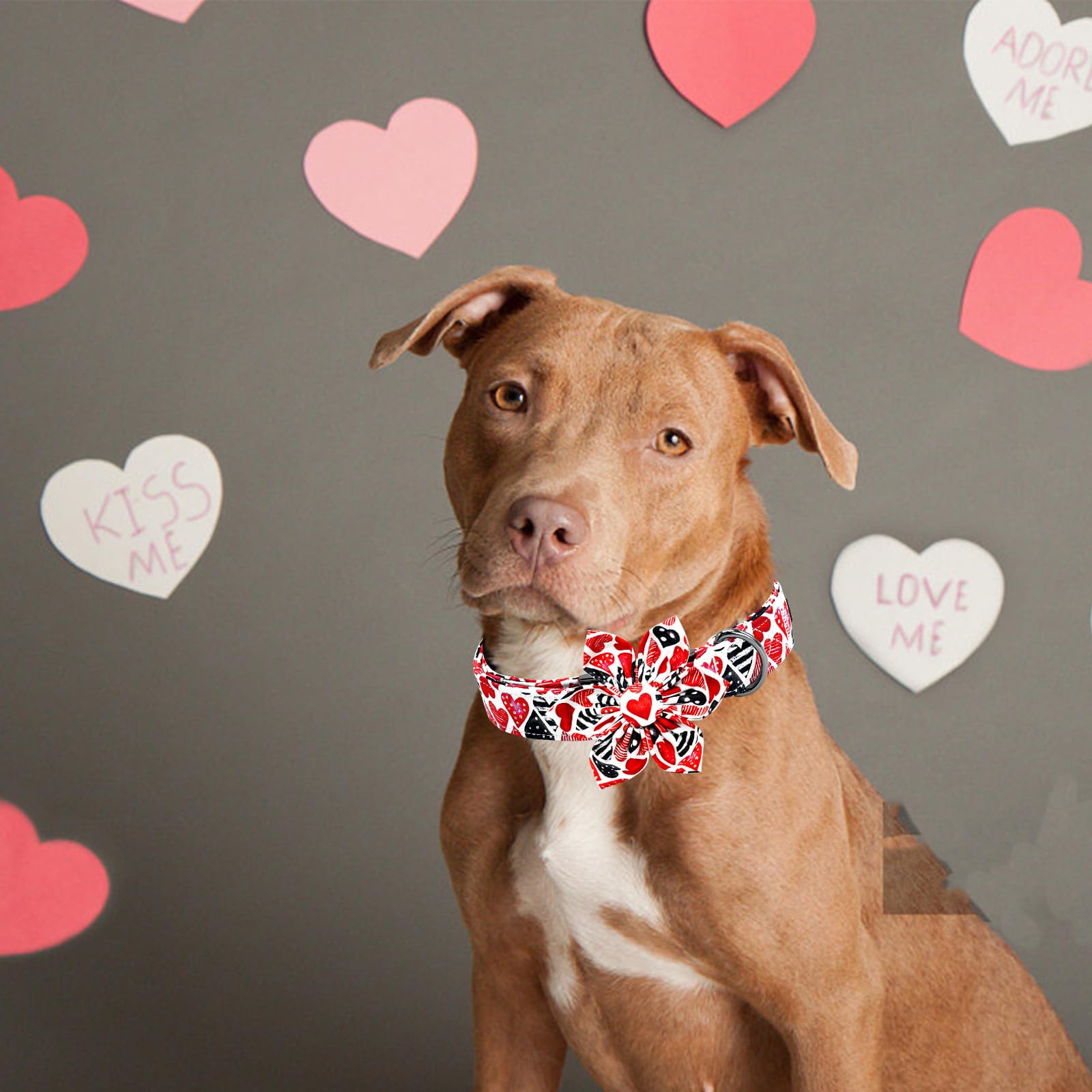 Lionheart Glory Valentine'S Day Dog Collar-Red Hearts Print Dog Collar With Flower For Medium Dogs Spring Pink Cute Dog Bow Coll