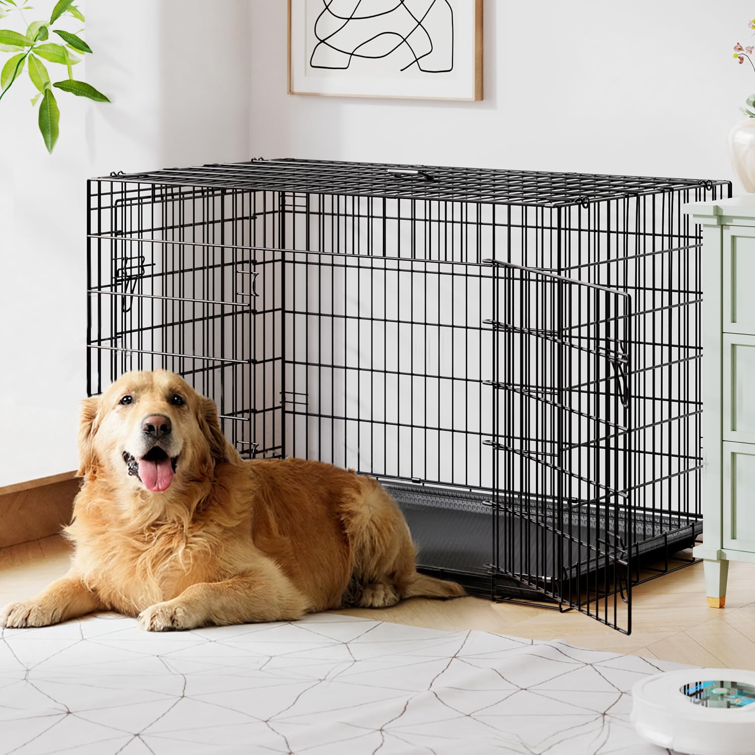 FDW XL Dog Crate 48inch Dog Cage Foldable Metal Kennel with Leakproof Tray Foldable Design Indoor Outdoor Use for Extra Large Do