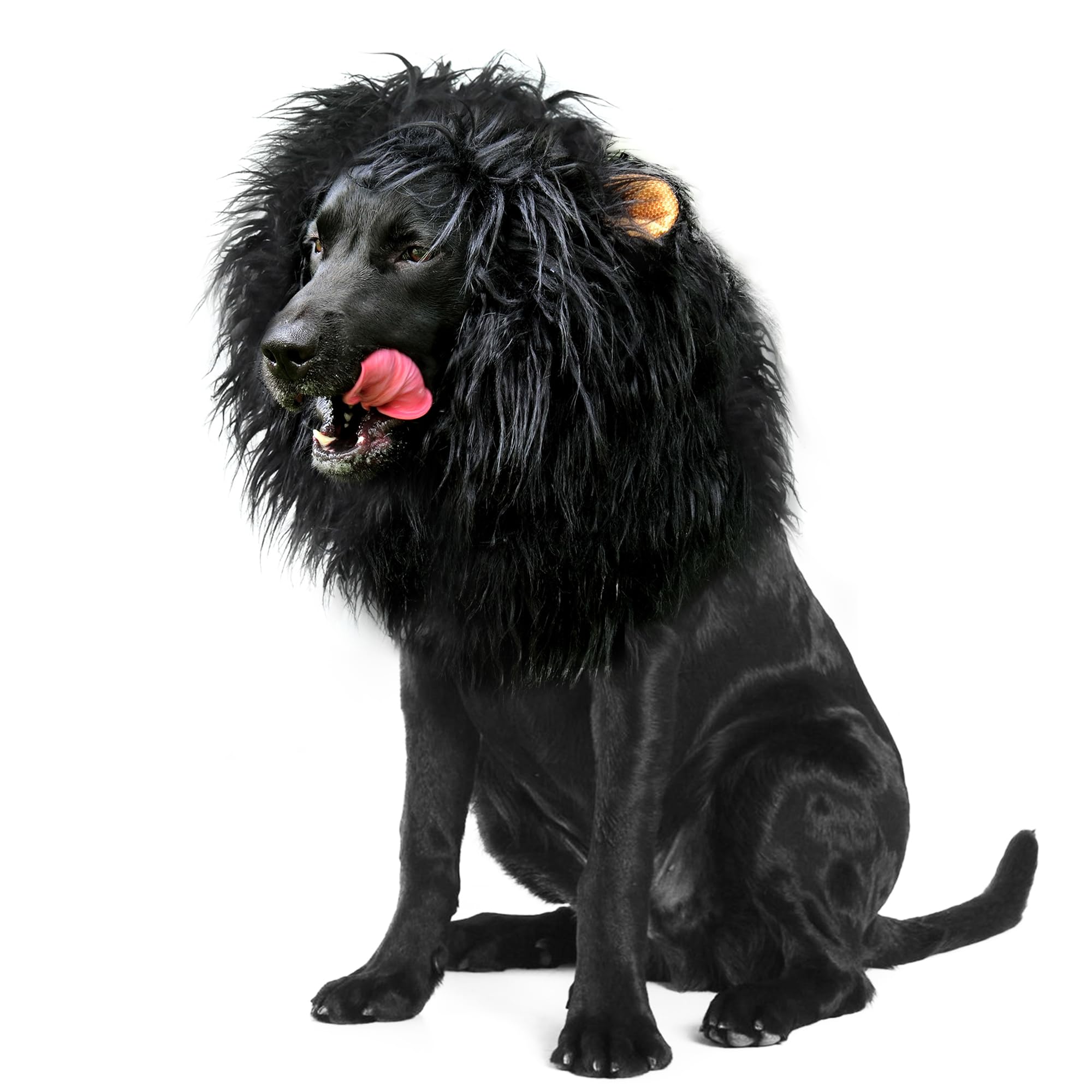 Onmygogo Lion Mane Wig For Dogs With Ears, Funny Pet Costumes For Halloween Christmas (Size L, Coffee)