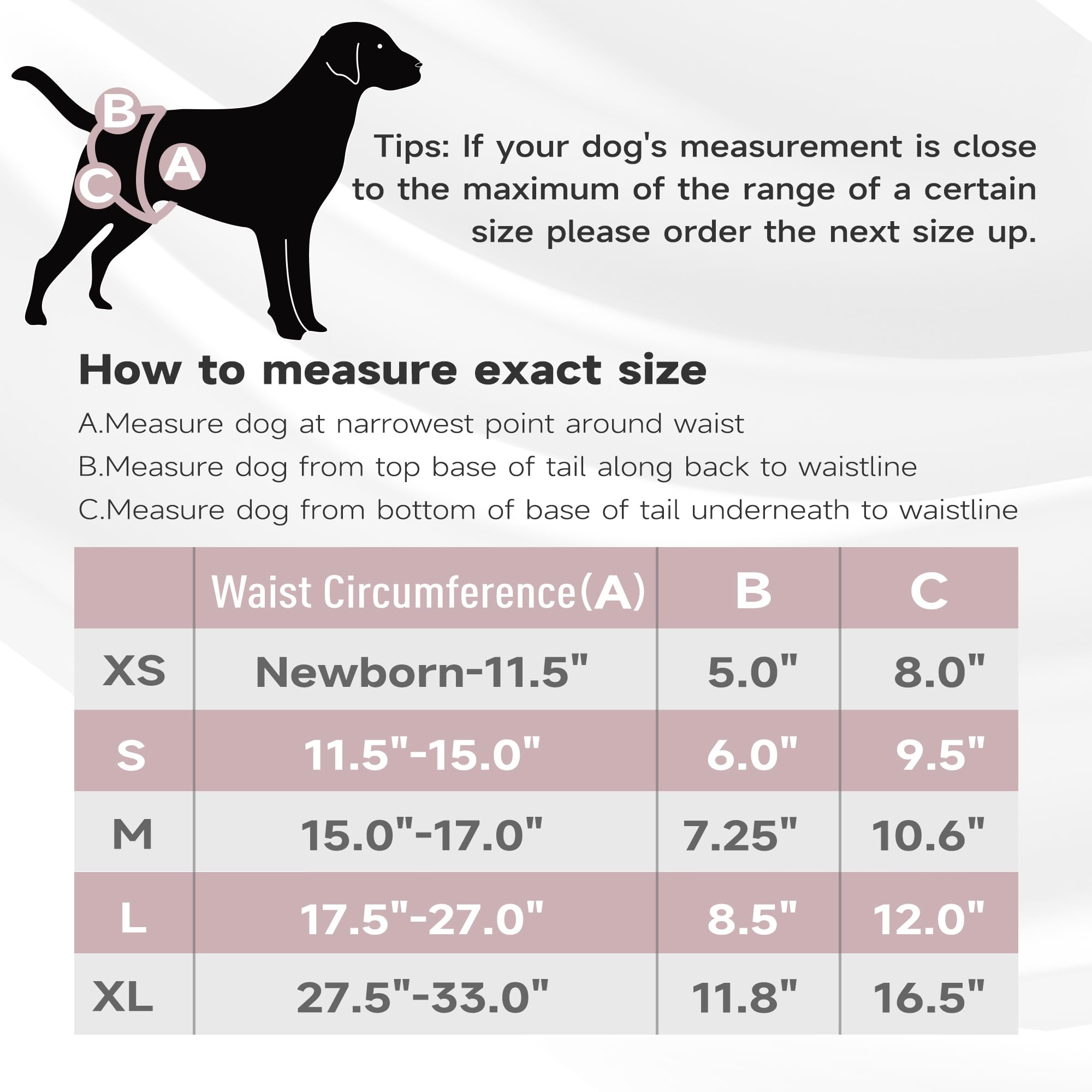 Paw Legend Washable Female Dog Diapers, Small (11.5''-15'' Waist), Black Polyester, 3 Pack