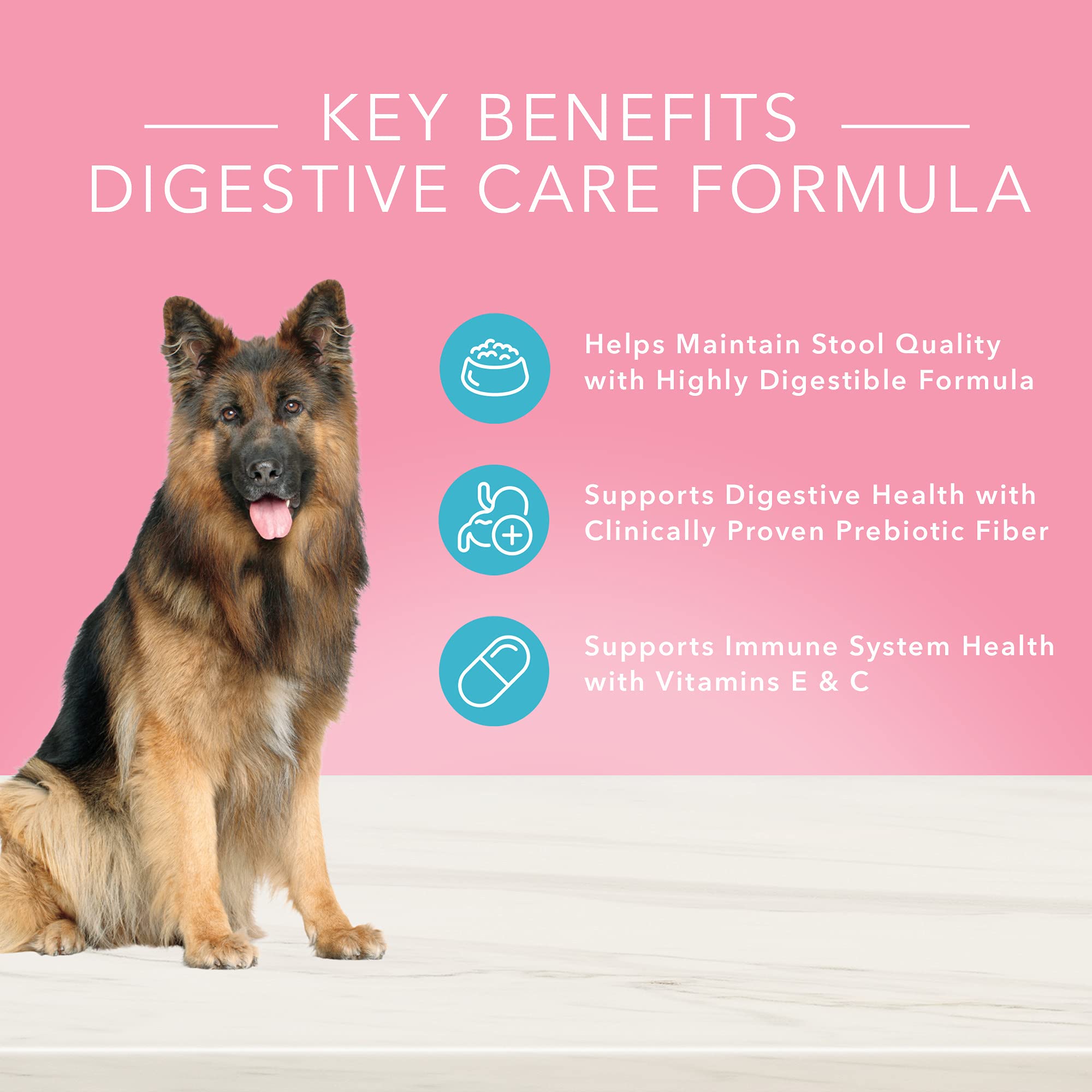 Blue Buffalo True Solutions Digestive Care Natural Dry Dog Food for Adult Dogs, Chicken, 4-lb. Bag