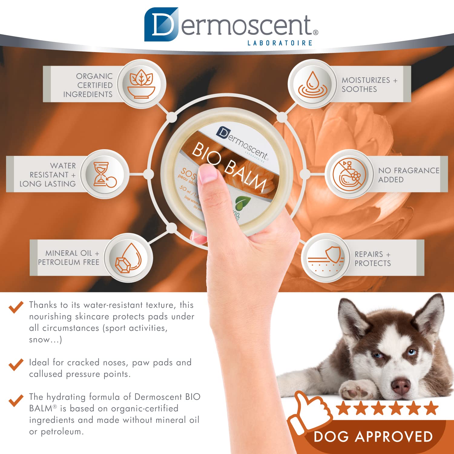 Dermoscent Bio Balm - Natural Healing Dog Paw Moisturizer, 1.67 Fl Oz, Veterinarian-Approved for Dry & Cracked Paws
