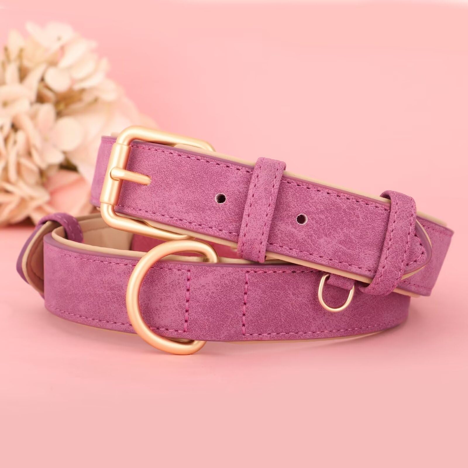 Didog Soft Padded Leather Dog Collar, Adjustable Dog Collars For Small Dogs With Heavy Duty Metal Buckle And D Ring, Hot Pink,S