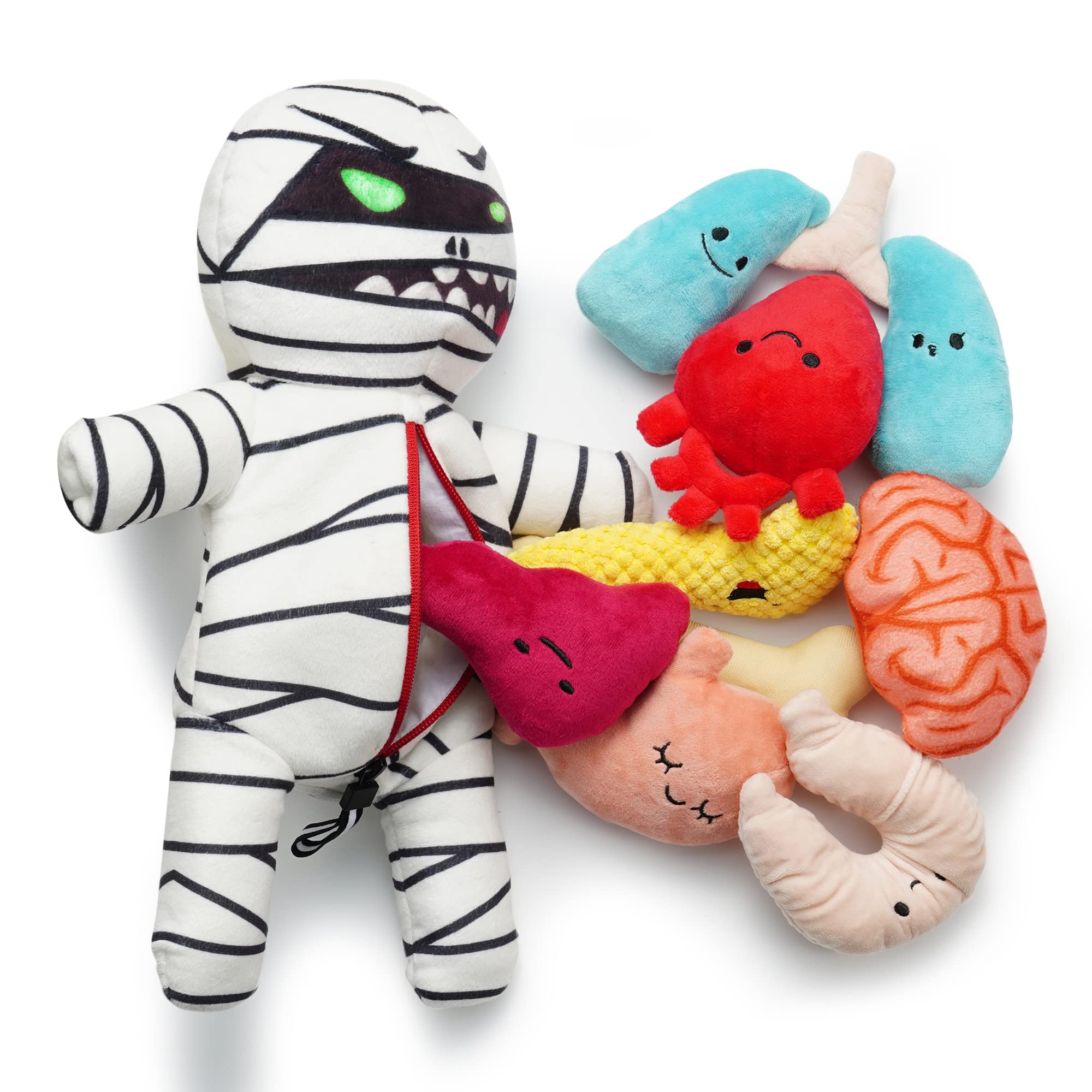 Nocciola Halloween Zombie Mummy Dog Toys With Organs: Funny Cool Squeaky Dog Chew Toys For Puppies, Small And Medium Size Dogs, 