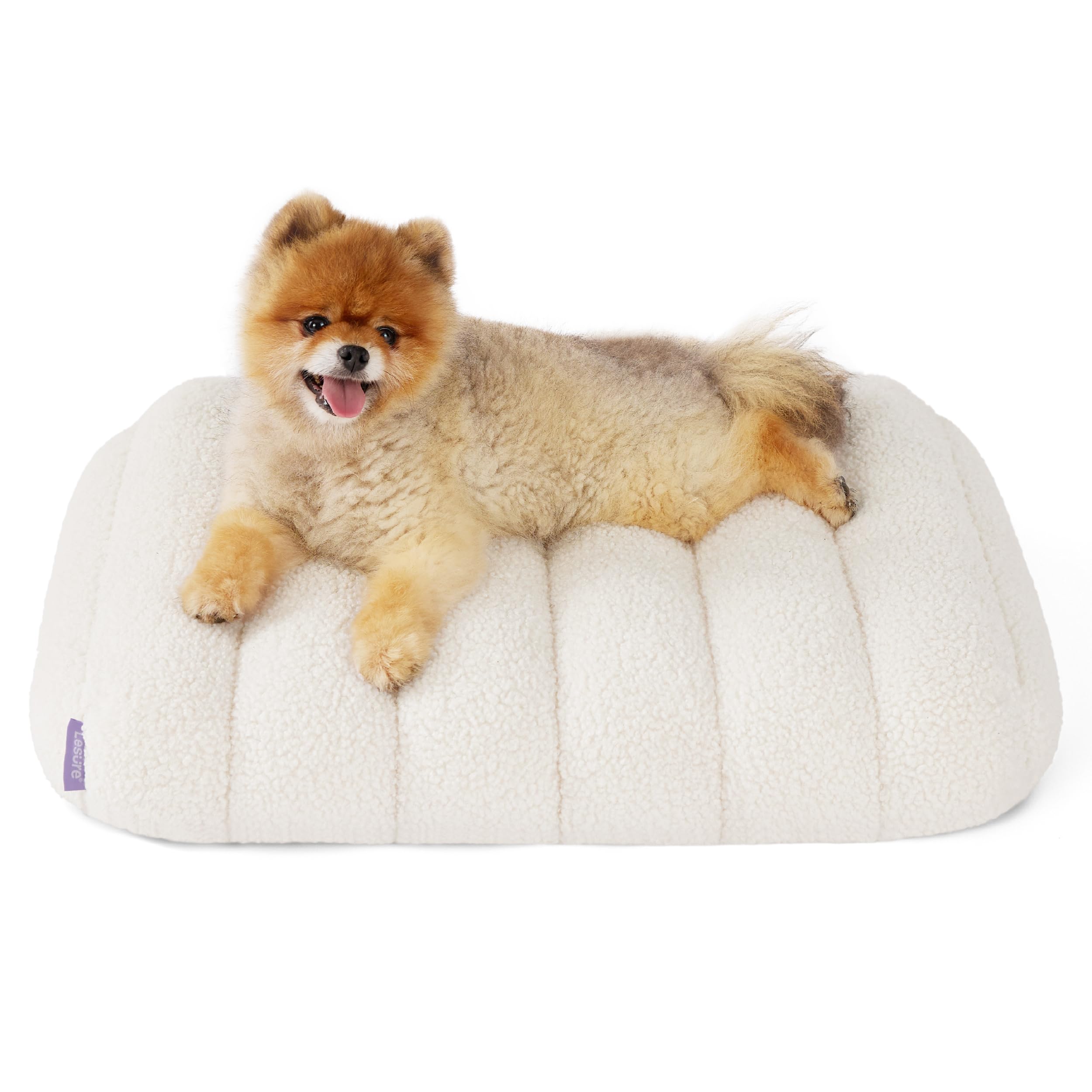 Lesure Cute Orthopedic Dog Bed For Small Dogs, Waterproof Chic Flat Pet Beds With Removable Washable Cover, Fuzzy Thick Egg Crat