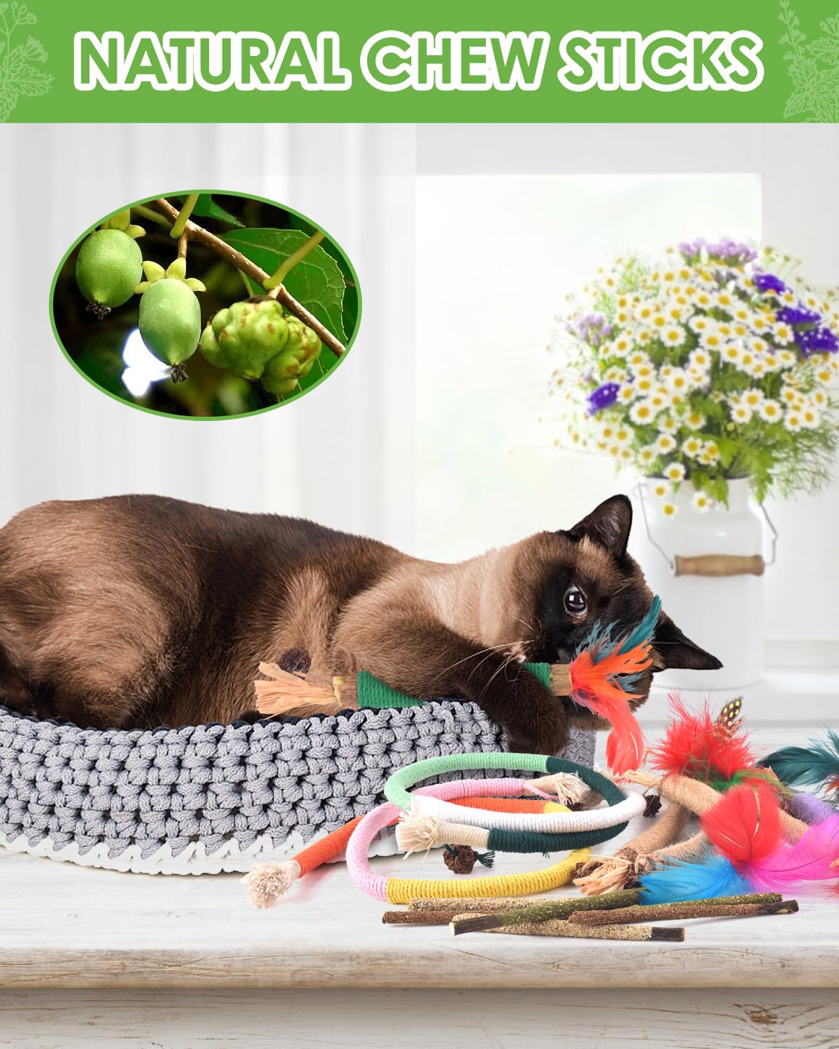 TINDTOP Cat Chew Toys, 12 Pack Silvervine Chew Sticks with 2 Pack Chew Ropes for Kittens Teeth Cleaning, Increase Appetite, Aggr