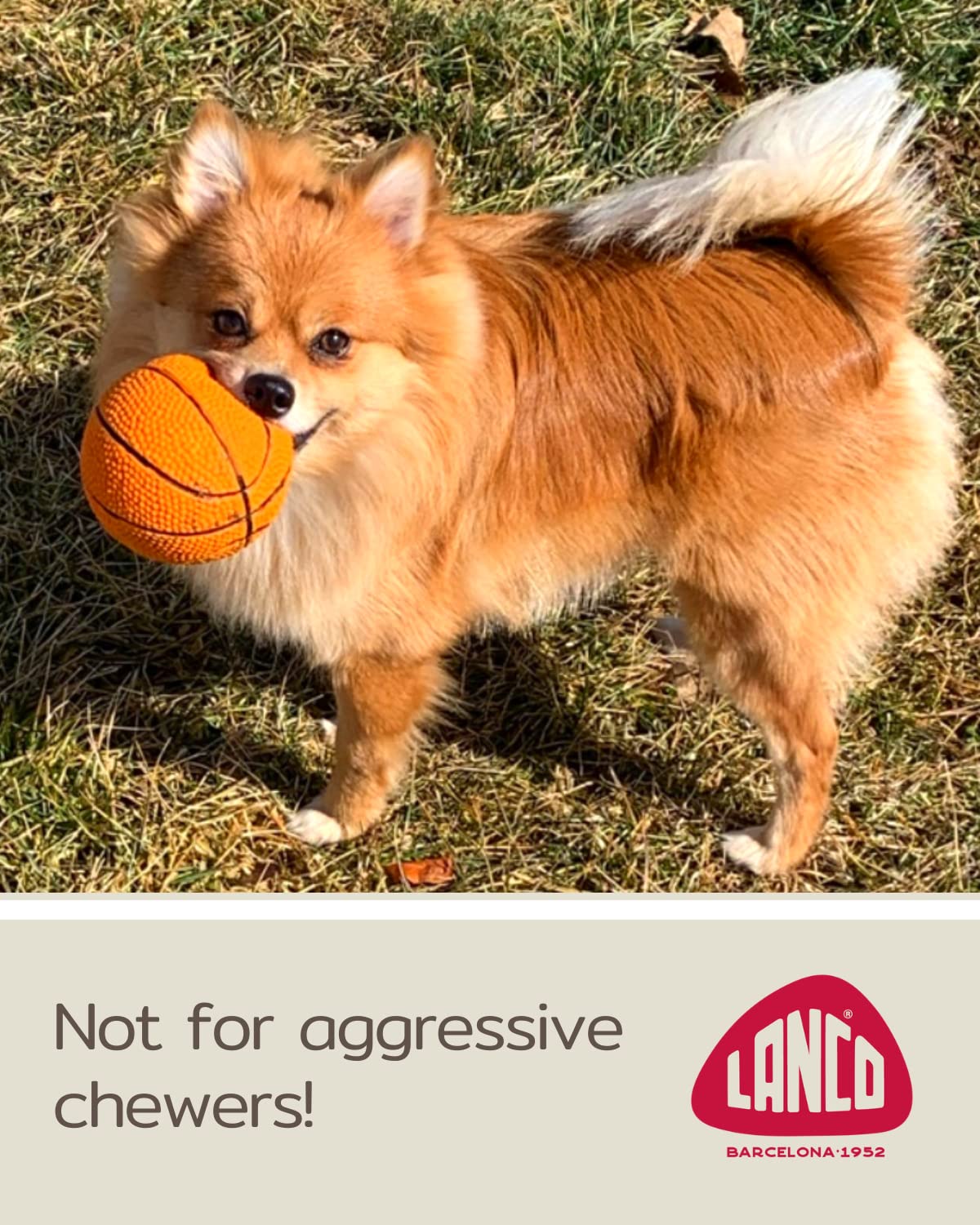 Basketball - Soft, Squeaky Dog Toy - Natural Rubber (Latex) - For Medium & Large Breeds - 3.5' Diameter - Bouncy - Free From Harmful Chemicals- Handpainted - Indoor Play