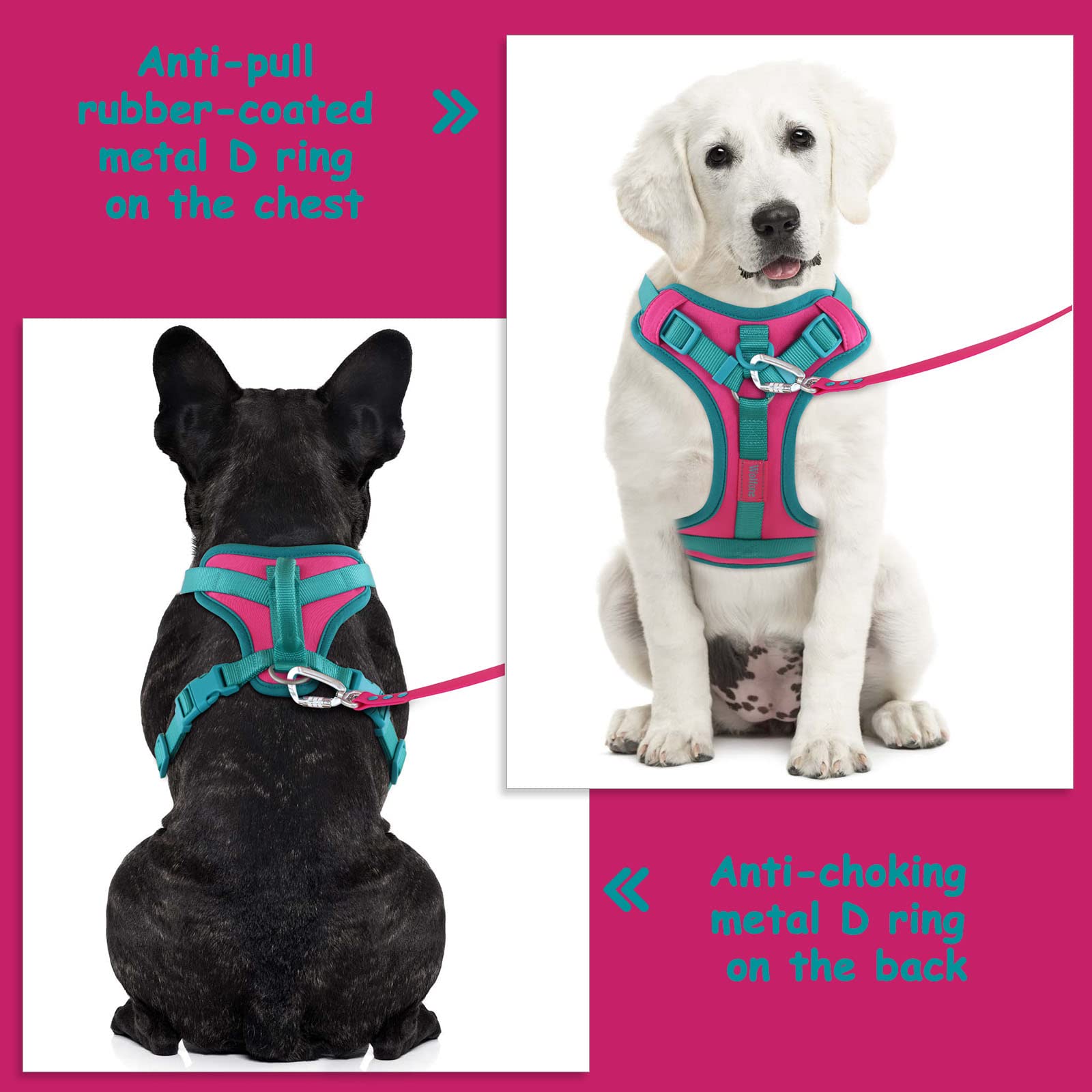 Wolfone No Pull Dog Harness Adjustable Soft Padded Pet Vest With Control Handle Adorable Daily Harness For Dogs(Pink Peacock Xs)
