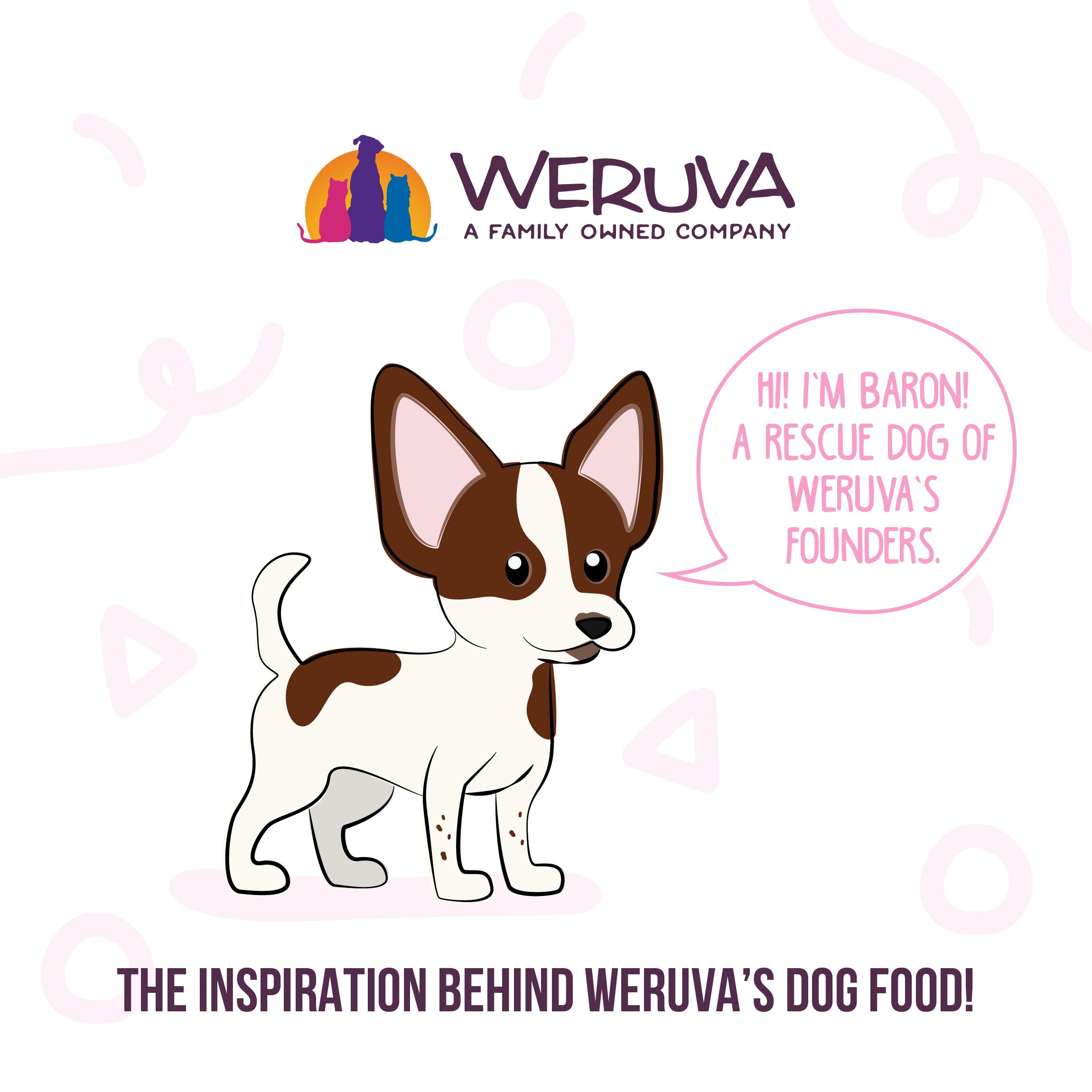 Weruva Meals n More Natural Wet Dog Food, Bed & Breakfast Plus Digestive Support, 3.5oz Cup (Pack of 12)