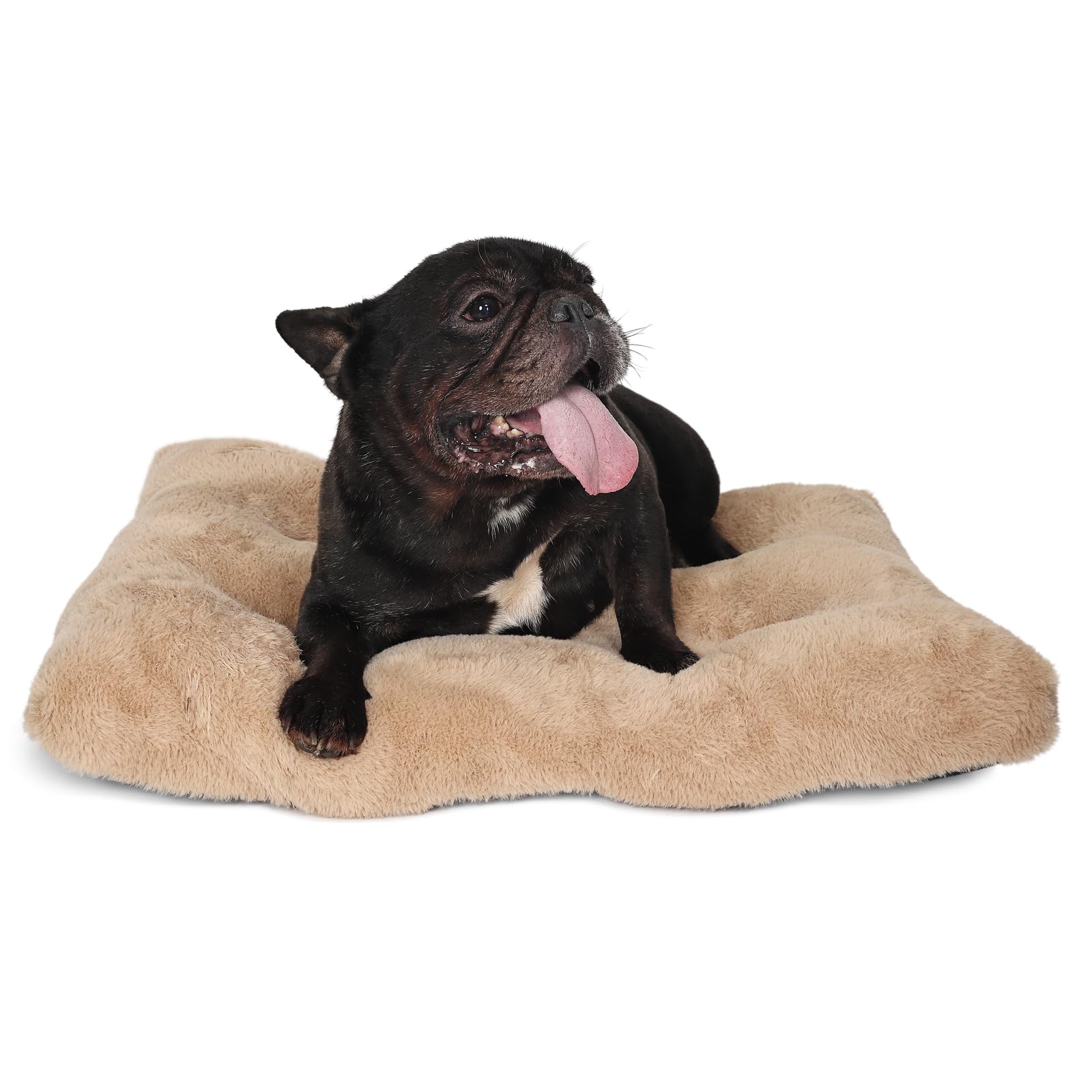 Small Dog Bed For Crate 24X18 Washable Extra Soft 24 Inch Crate Bed For Puppy With Anti-Slip Bottom,Comfy Fulffy Kennel Pad For 