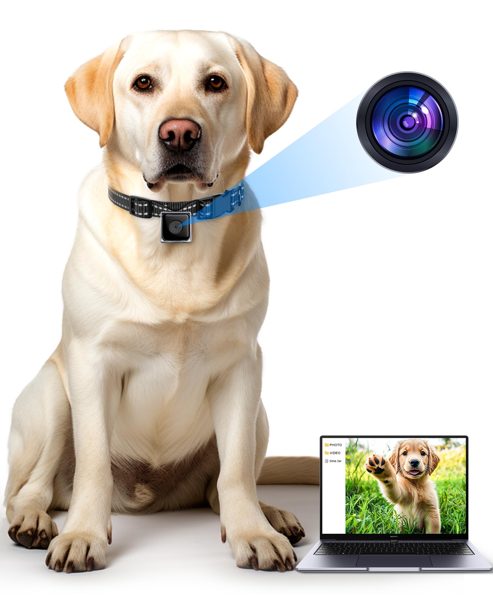 Cat/Dog Camera Collar, No App No Wifi, Cordless Collar Camera For Outdoor Video Recording, M-Size For Medium Dogs(No Sd Card Inc