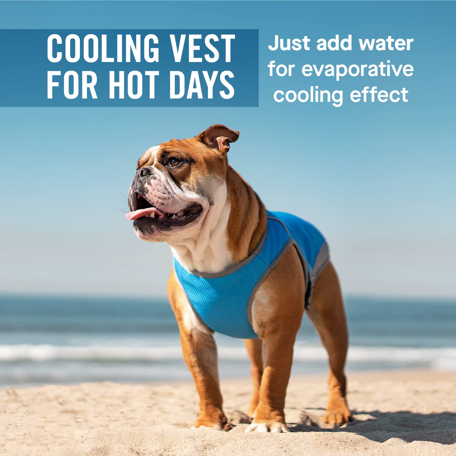 Canada Pooch Dog Cooling Vest - Evaporative Cooling Vest For Dogs With Breathable Mesh Material & Reflective Lining, Adjustable Dog Cooling Vest Great For Dogs (28 (27-29' Back Length), Aqua)