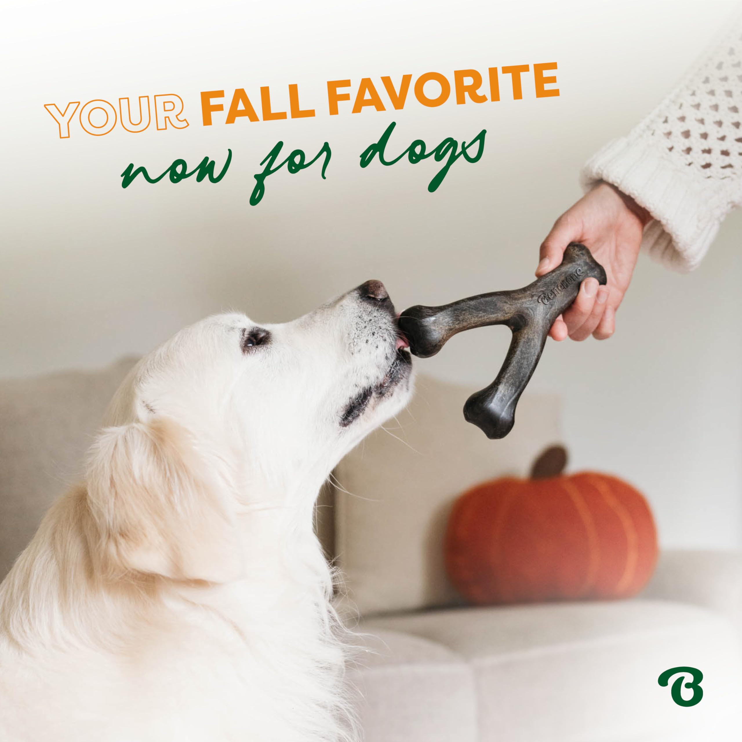 Benebone Pumpkin Spice Wishbone - Limited Edition Flavor, Durable Dog Chew Toy for Aggressive Chewers, Made in USA, Large