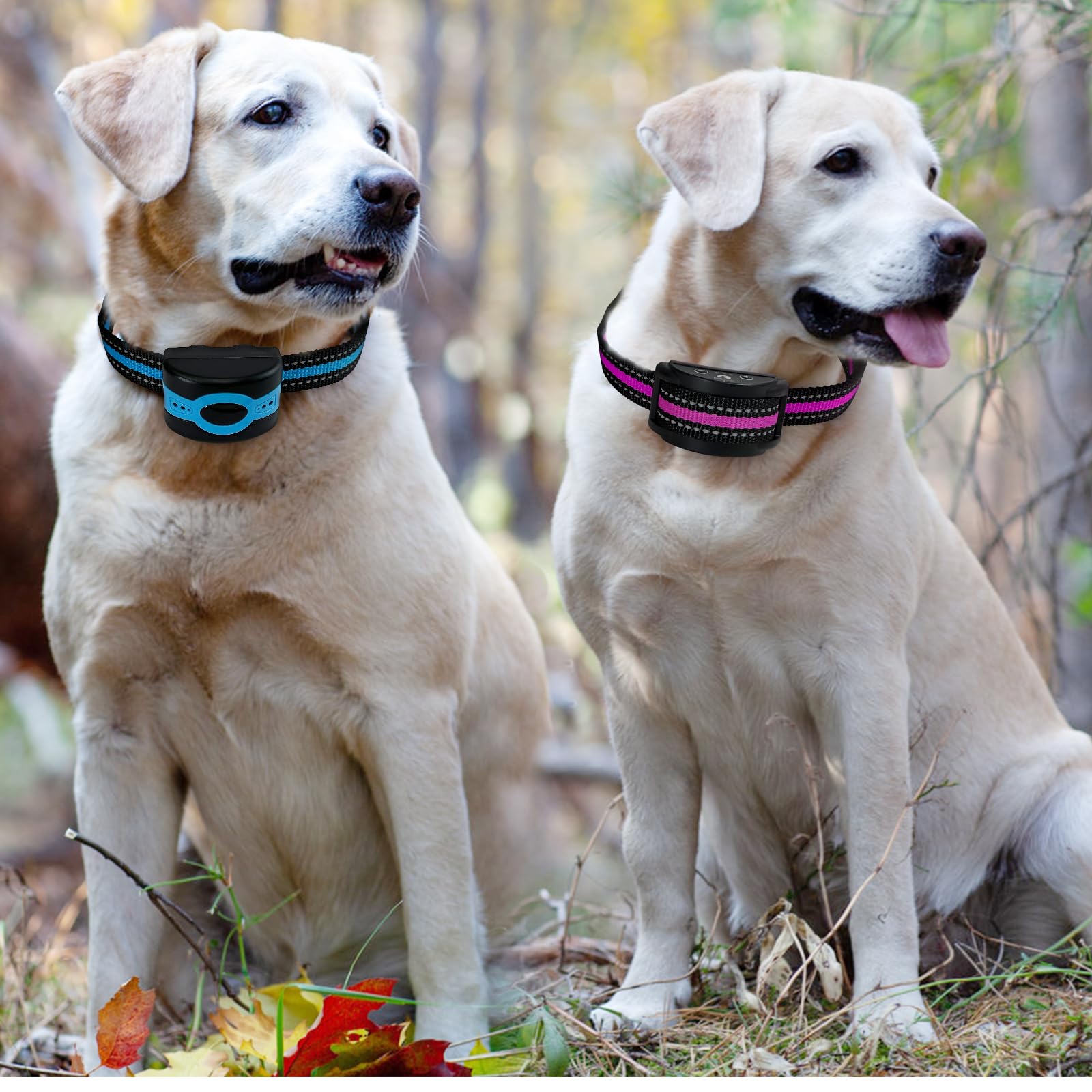 Replacement Collar For Shock Training Bark Collar,Dog Shock Collars Replacement, Nylon Replacement Collar Strap For E Collar Wireless Dog Fence Receivers(2 Piece Blue+Rose Red)