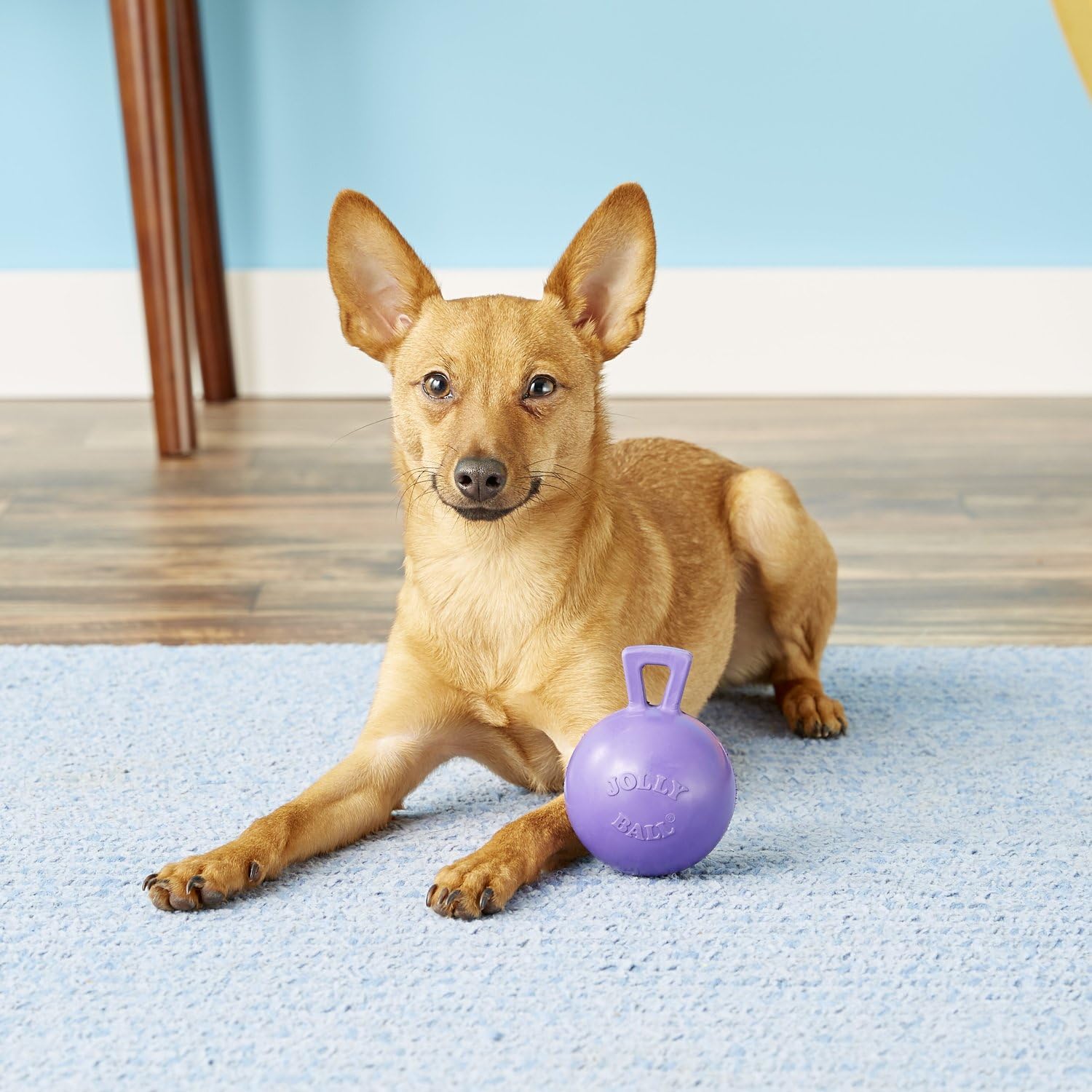 Jolly Pets Tug-N-Toss Ball