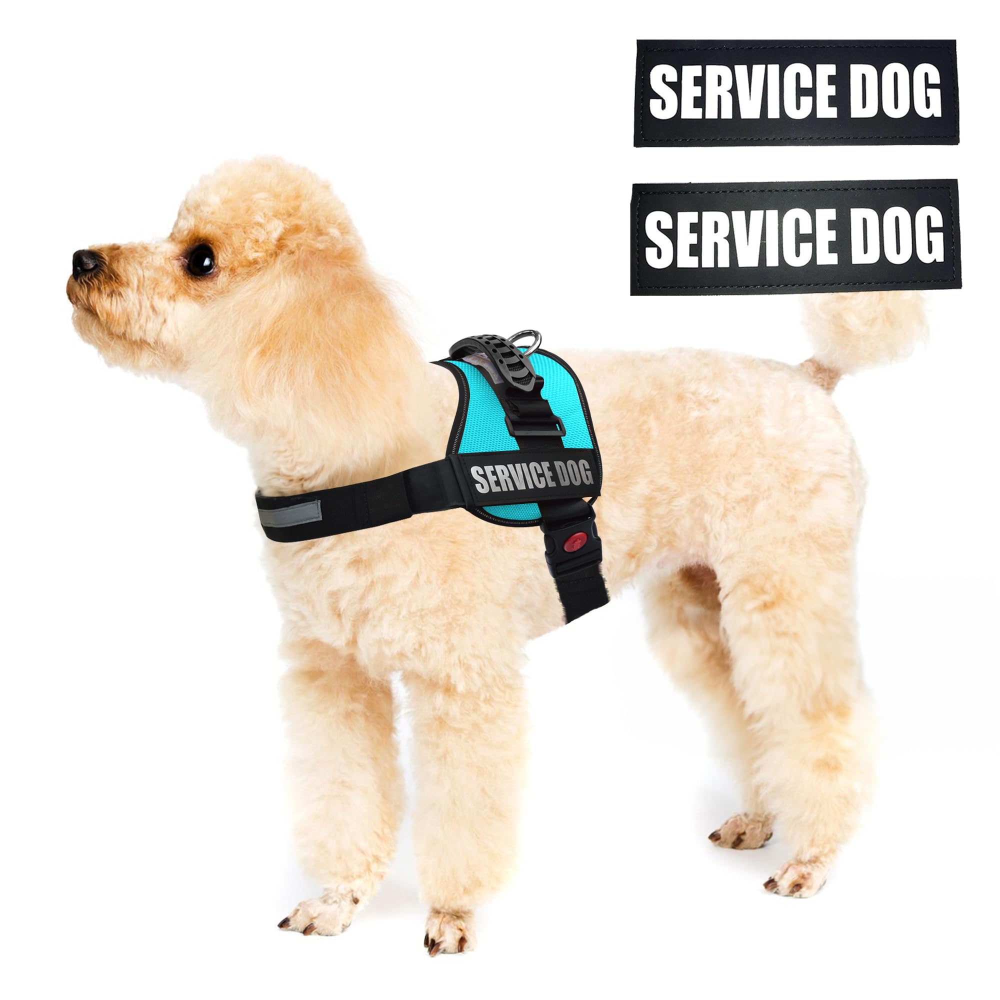 ALBCORP Service Dog Vest Harness - Reflective, No-Pull Harness with Handle & Comfy Mesh Padding - Sizes XXS-XL for Puppies, Smal