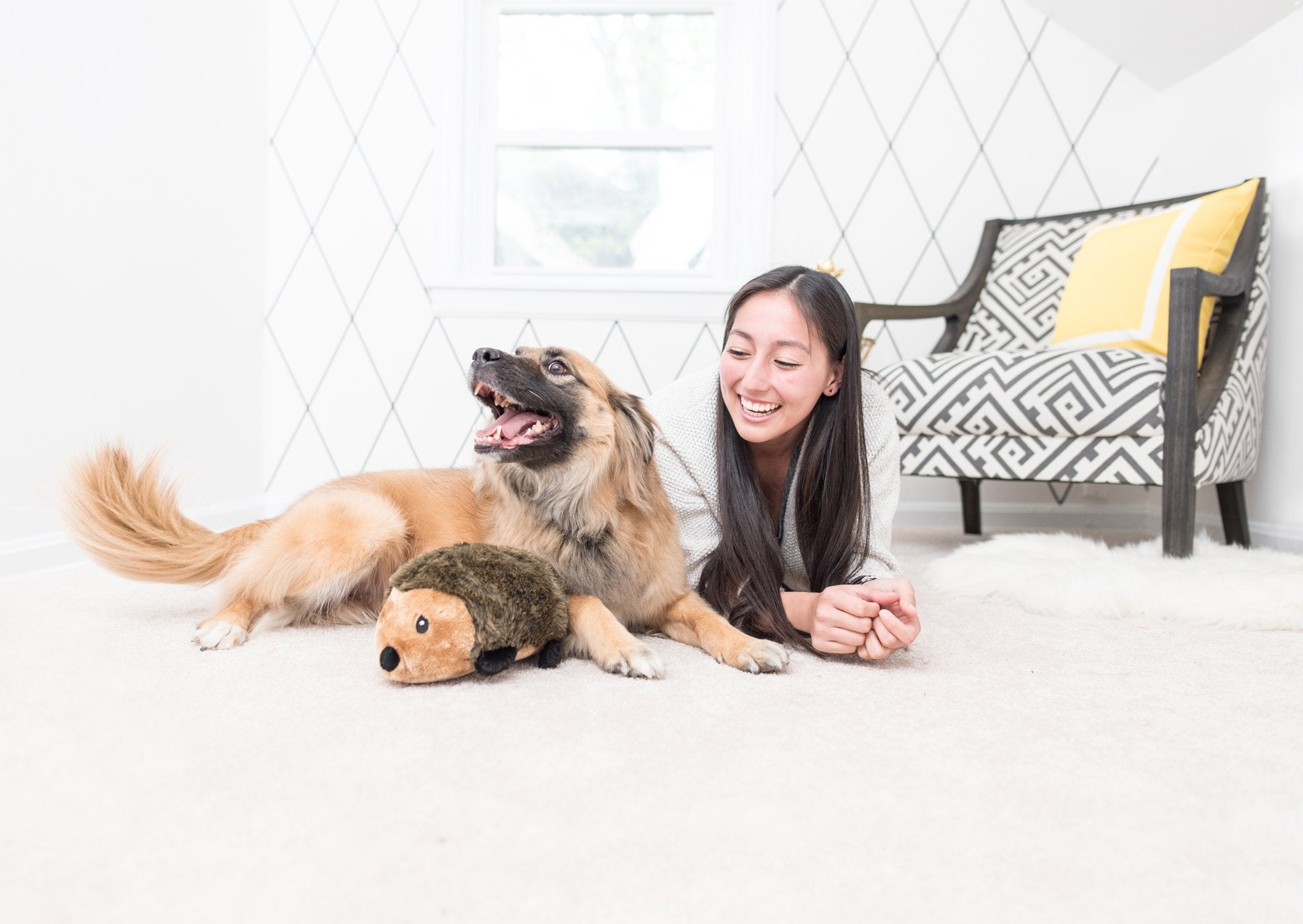 Zippypaws Hedgehog Dog Toy - Squeaky Plush Toy For Small, Medium & Large Dogs, Cute Interactive Puppy Play Toy