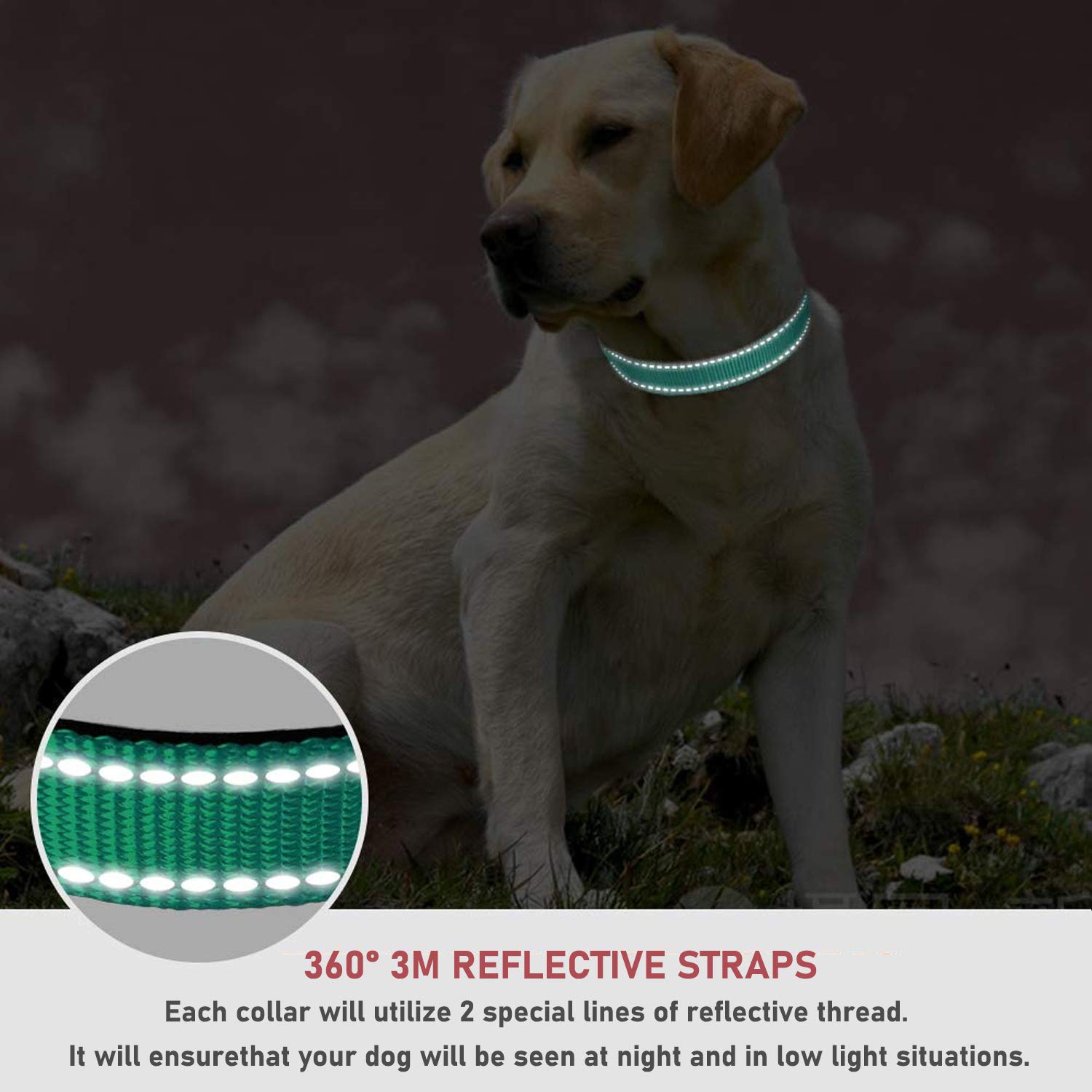 Reflective Dog Collar With Buckle Adjustable Safety Nylon Collars For Small Medium Large Dogs, Teal Xxs