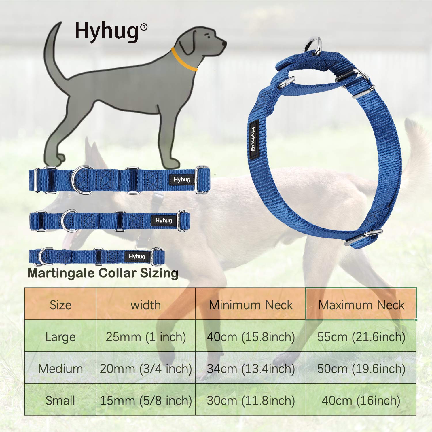 Hyhug Pets Premium Upgraded Durable Nylon Anti-Escape Martingale Collar For Boy And Girl Dogs Comfy And Safe - Professional Training, Daily Use Walking. (Medium, Classic Blue)