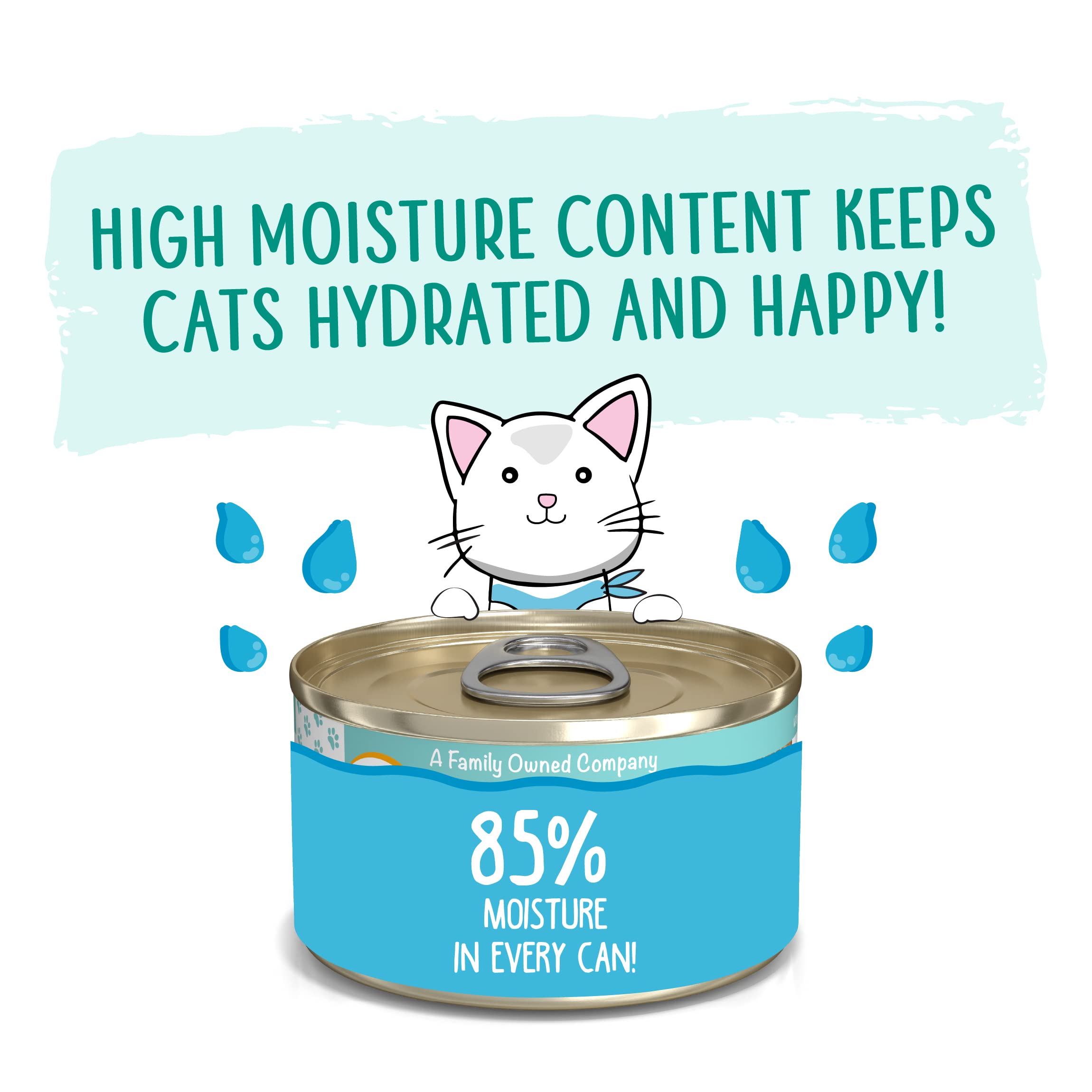 Weruva Wet Cat Food, Meows n Holler PurrAmid with Chicken and Shrimp Pate, 3oz Can, Pack of 12