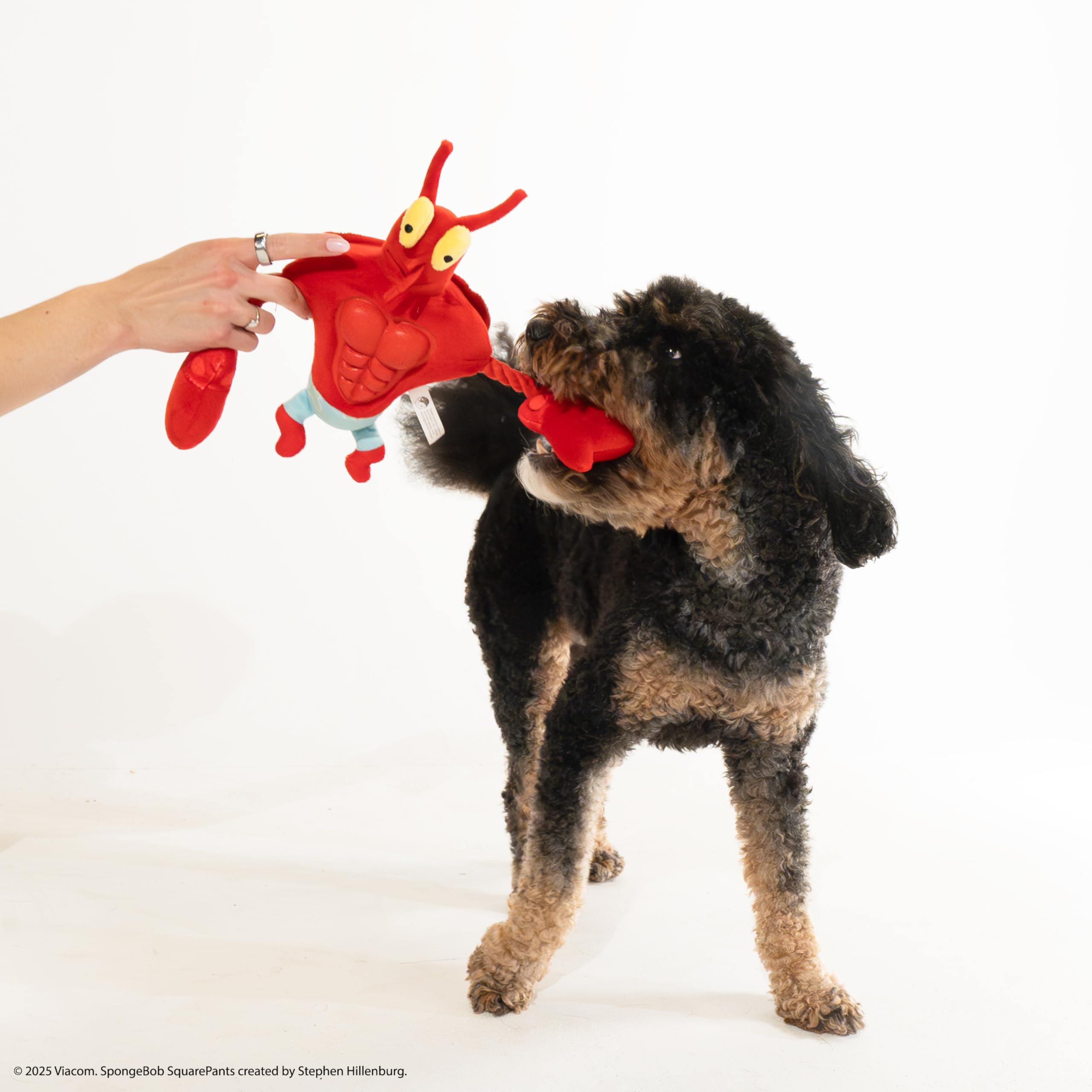 Design Lab, Inc. Spongebob Squarepants Official Merchandise Interactive And Fun Collectible Dog Toys | 2-Pack Larry & Sandy Dog