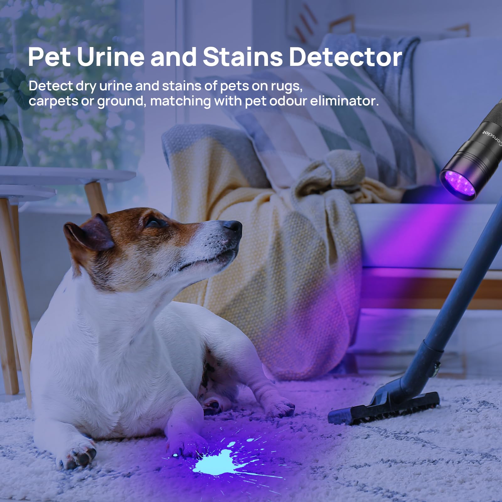 Consciot 2 Pack Uv Flashlight Black Light, 12 Led 395Nm Ultraviolet Blacklight, Portable Mini Torch Light Pet Urine Detector For