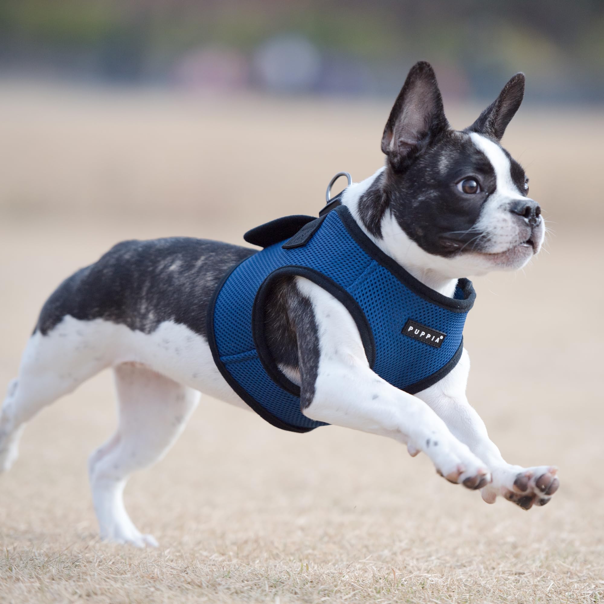 PUPPIA International Puppia Harness Soft B Vest Royal Blue Medium
