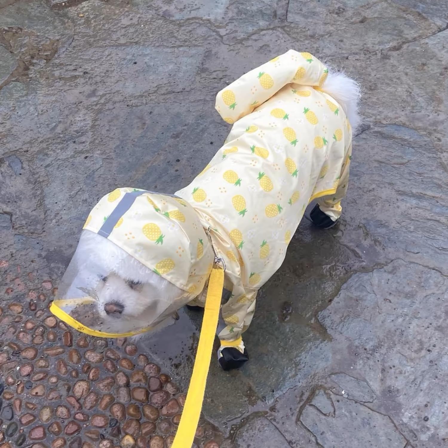 Harikaji Small Dog Raincoat, Tail Protect Feet Cover Waterproof Dog Rain Jacket For Puppy (Pineapple, Xs)