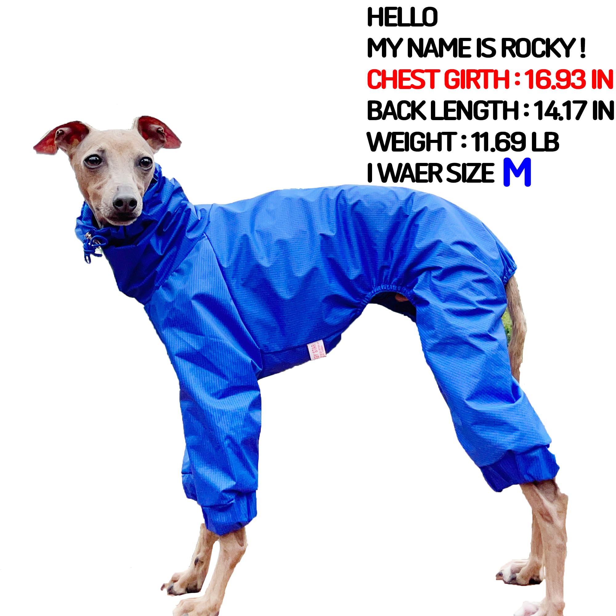 D Doggy Star Italian Greyhound Raincoat Waterproof Jacket Windbreaker Clothes Whippet For Dog (S,Raincoat Blue)