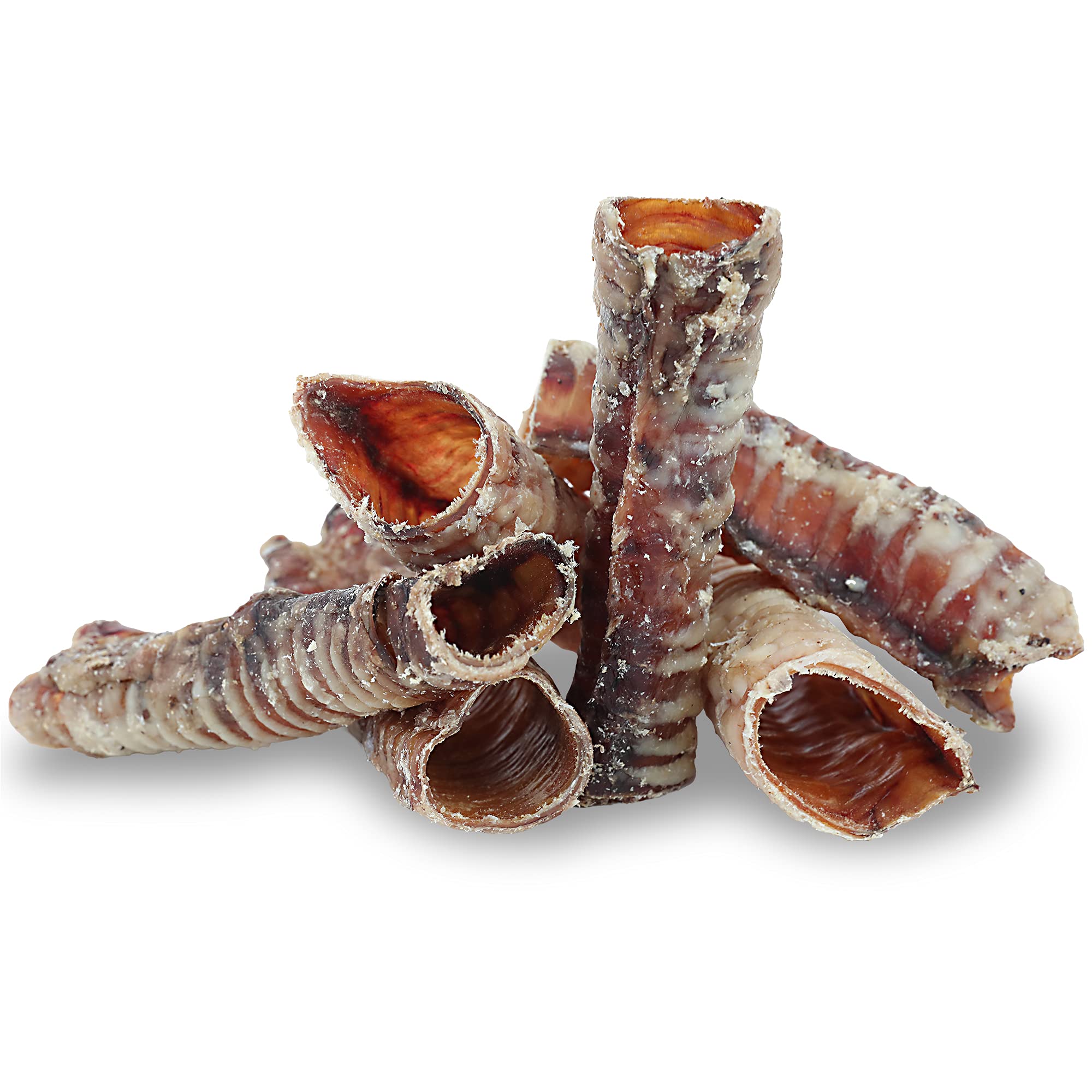 Pet Craft Supply All Natural Healthy Buffalo Trachea Bones Dog Chews Treats for Aggressive Chewers Long Lasting Rawhide Free Pre