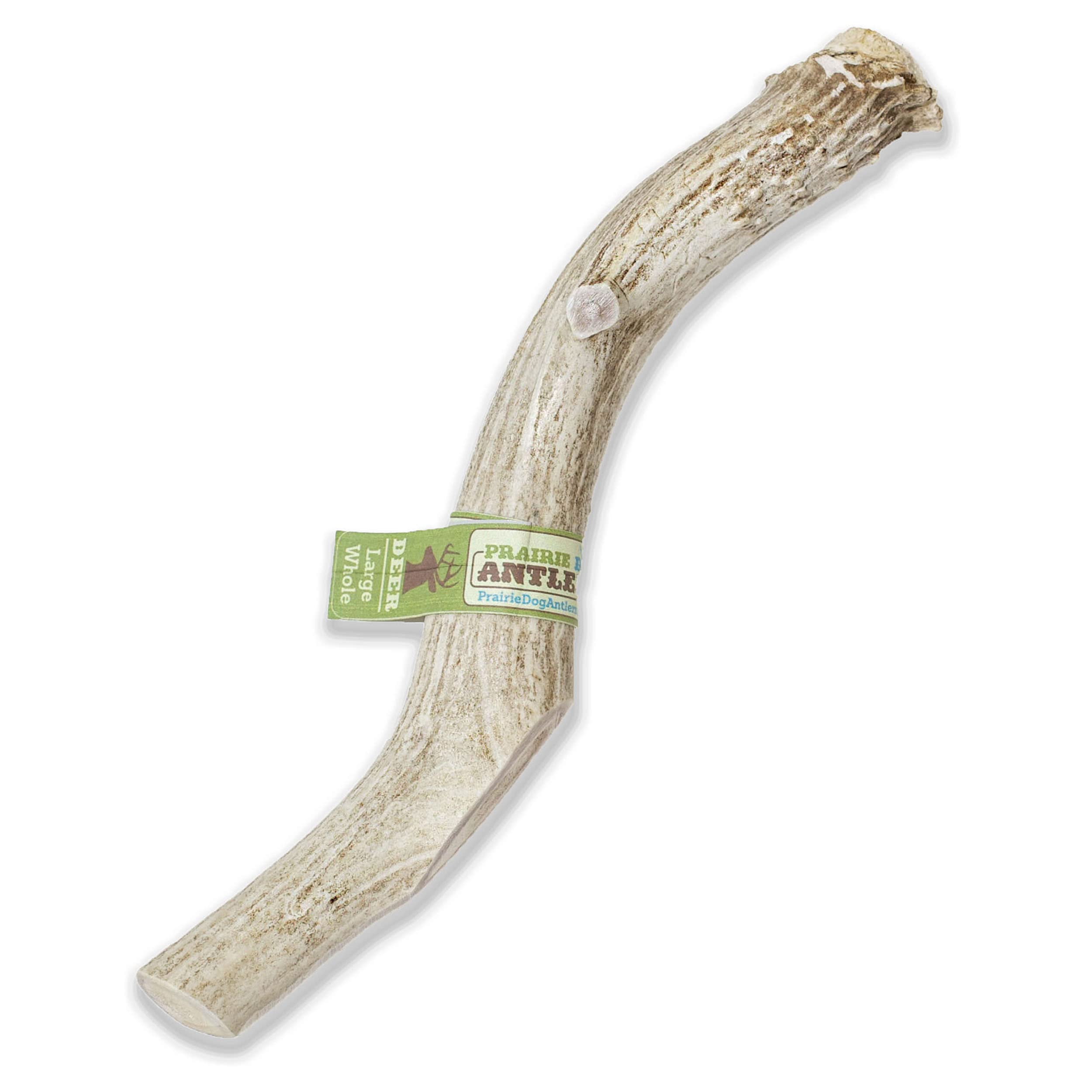 Prairie Dog Pet Products Deer Large Antler Treat, 8-9