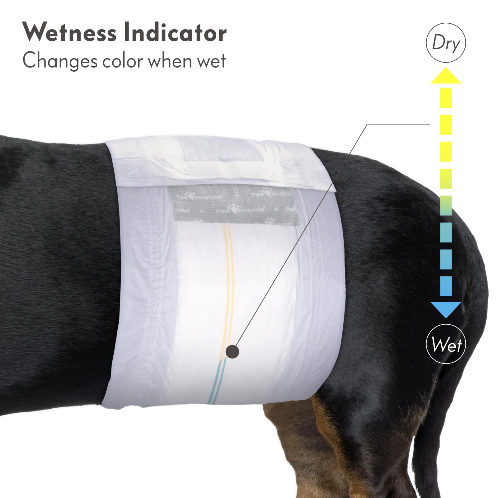 Paw Inspired Select Fit Male Dog Diapers, Disposable Male Wraps With Wetness Indicator| Belly Bands For Small, Medium, Large Dog