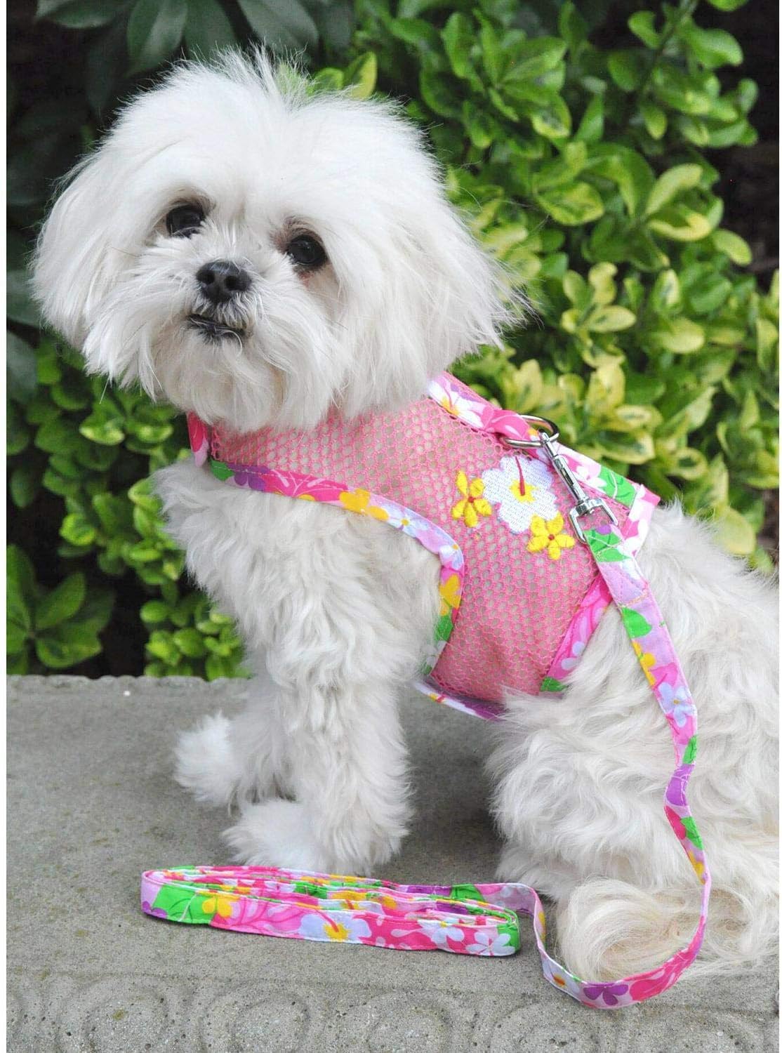 Doggie Design Dog Harness - No Choke Harness For Pets, Dog Vest, Mesh Polyester, Simple Step In And Go Design, Reflective Vest F