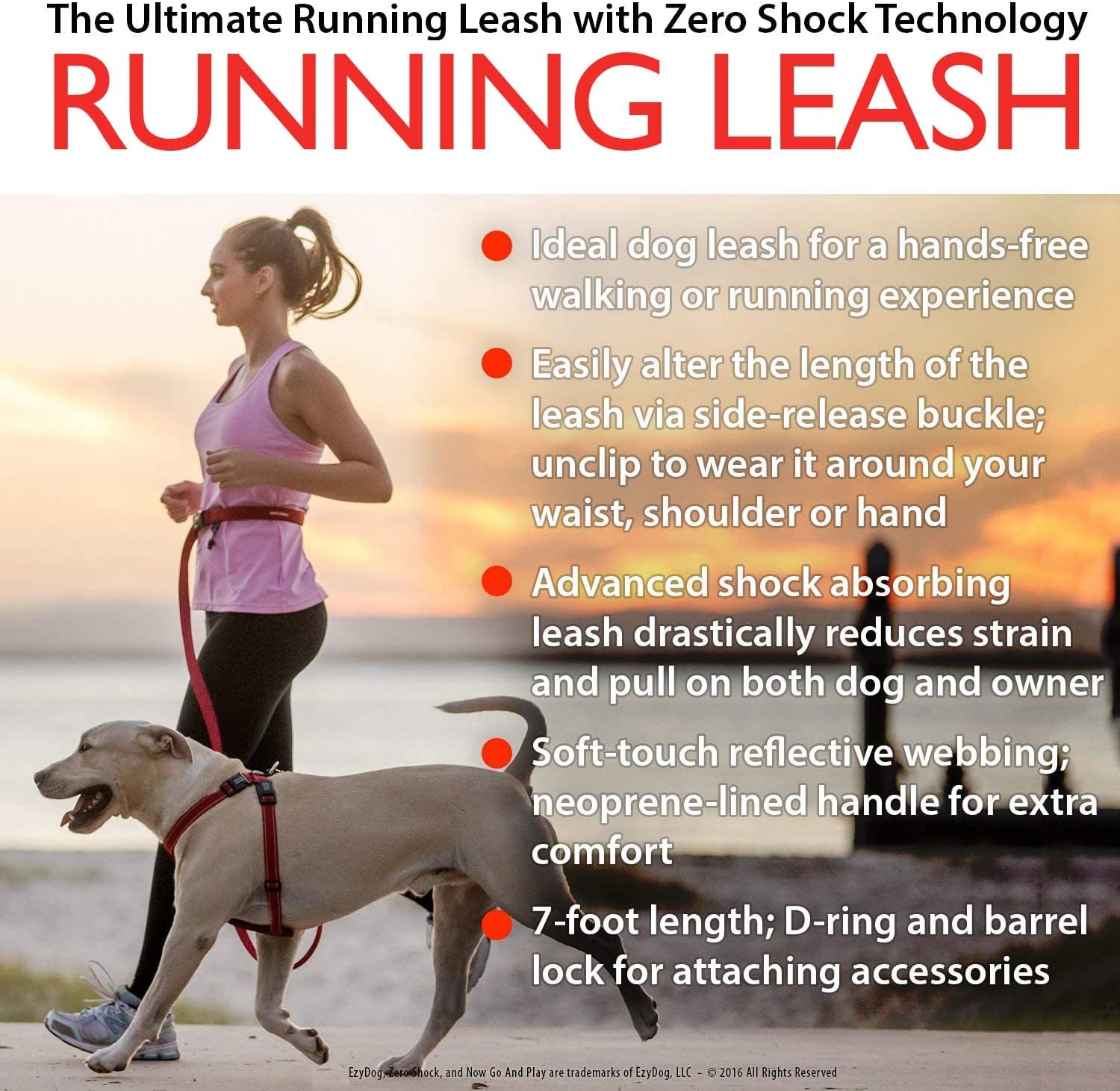 Ezydog Road Running Best Hands-Free Walking, Jogging, And Running Zero Shock Bungee Dog Leash - Reflective Stitching And Adjustable Waist Belt - Provides Superior Comfort, Safety, Control (Red)