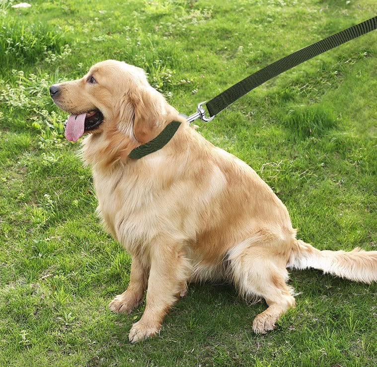 Taian 4Ft/5Ft/6Ft Strong Dog Leash, Nylon Dog Leashes For Small Medium Large Dogs (1 In X 4 Ft, Green)