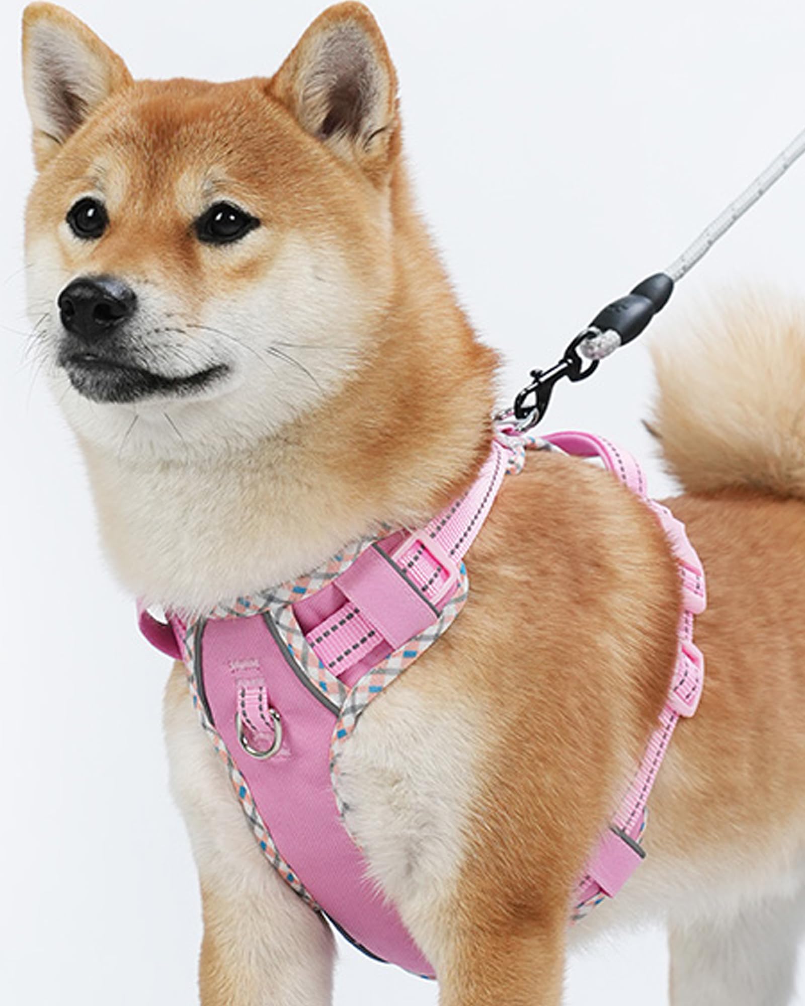 Petank Dog Harness Medium Sized Dog, Puppy Harness Medium Size Dog For Dog Training Walking, No Pull Dog Harness For Medium Dogs