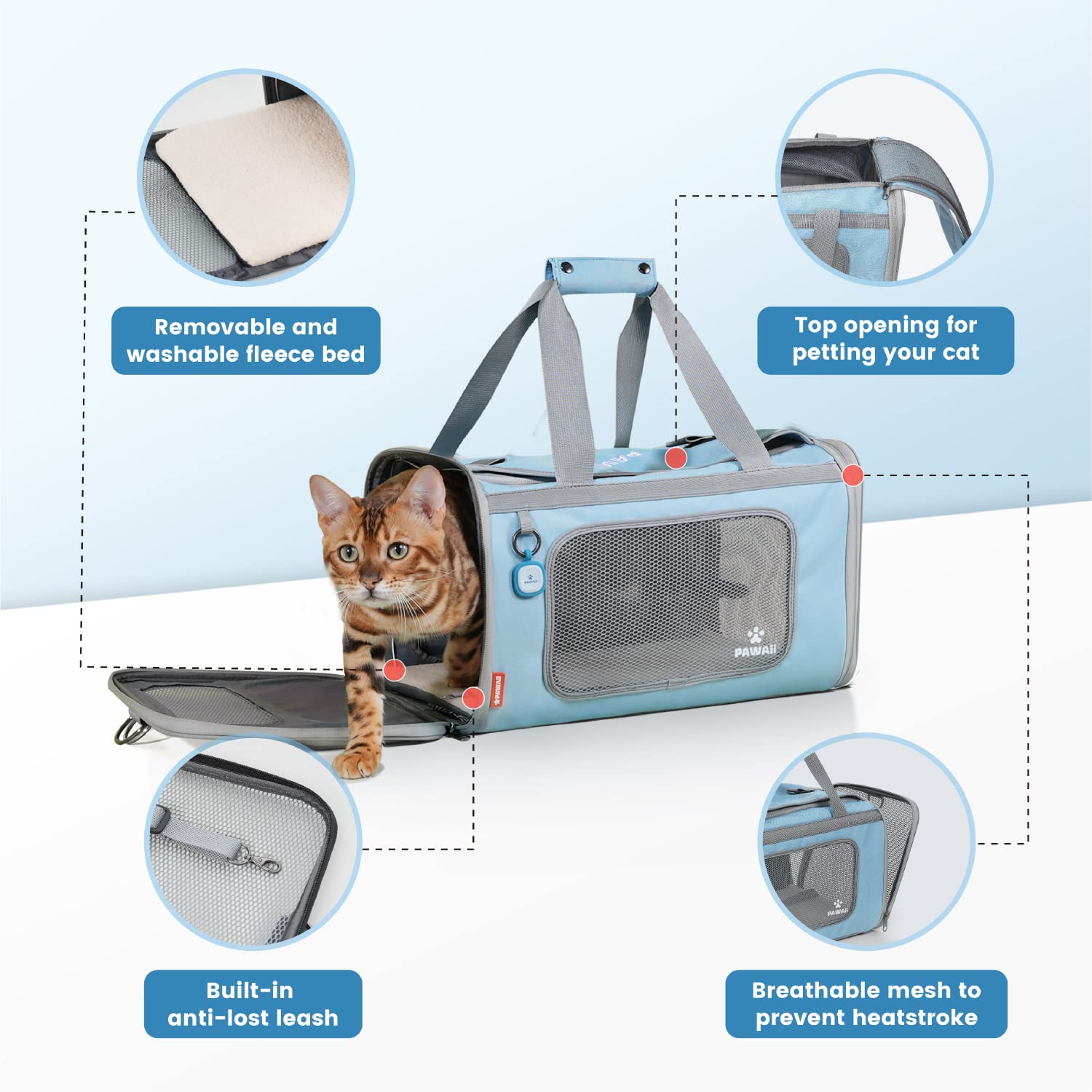 Pawaii Cat Carrier - Airline Approved, Collapsible, Large, Light Grey & Sky Blue, Model US-PC01KB, Comfortable & Portable Travel Carrier