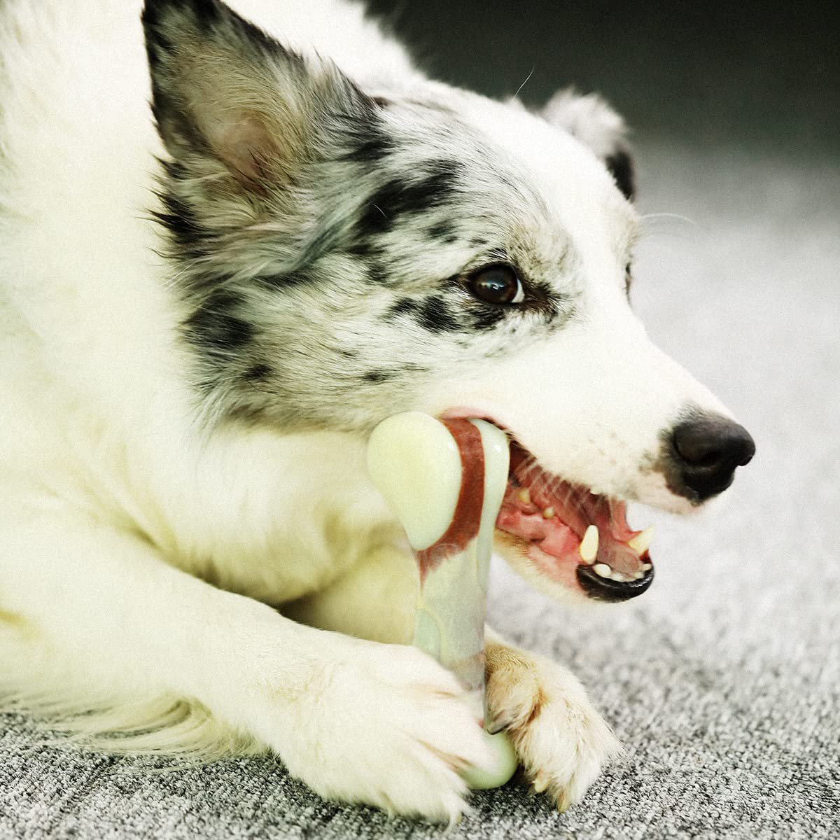 Tikaton Indestructible Dog Chew Toys - Durable Nylon Teething Bones for Aggressive Chewers, Medium Size, Beef Flavor