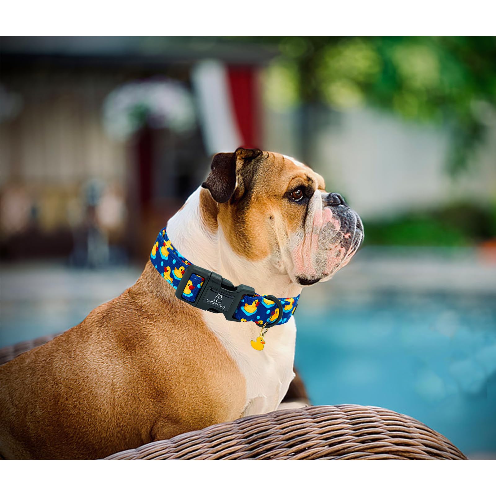 Lionheart Glory Dog Collar Ducky Pattern Cute Collar For Small Dogs Spring Summer Female Or Male Collars Pets Gift Adjustable He