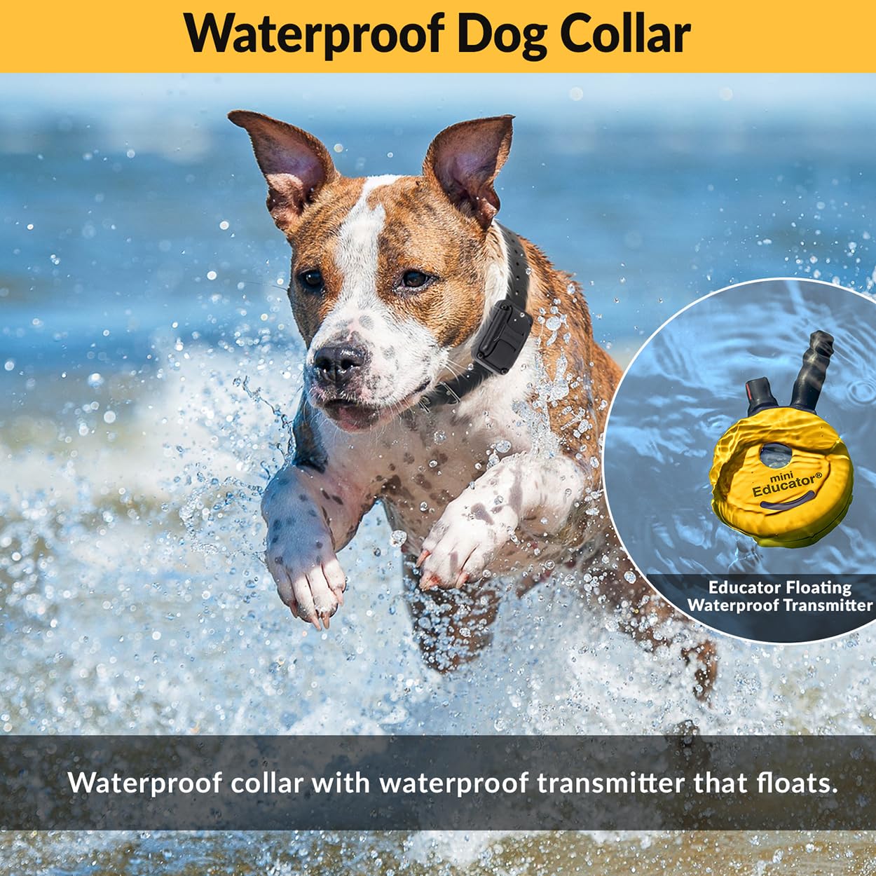 E-Collar - Educator Et-302-1/2 Mile Waterproof Remote Dog Training Collar Includes Premium Finger Clicker Trainer, 100 Programma