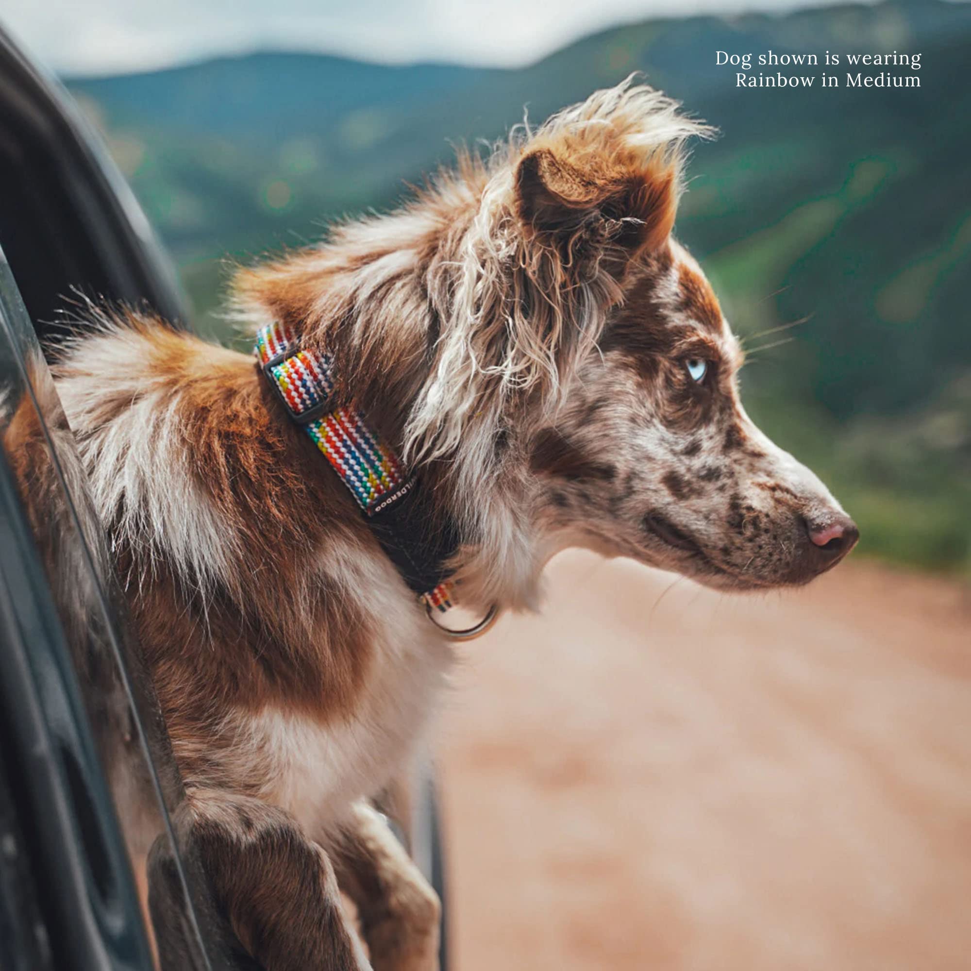 Wilderdog Climbing Rope Dog Collar - Outdoor Durable Climbing Rope Design With Heavy-Duty Secure Hardware For Safety - Adjustable To Fit 13'-18' Around With A 1' Band - Medium - Rainbow