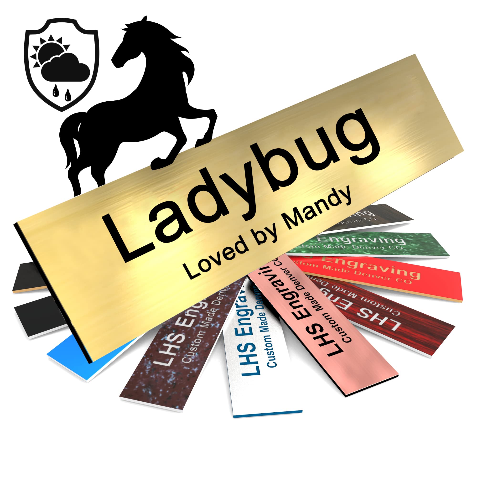 Lhs | Horse Stall Name Plate, 2X8 Personalized Stall Signs, Uv Protected, All Weather Adhesive, Hanging, Mounting Or Other, Brus