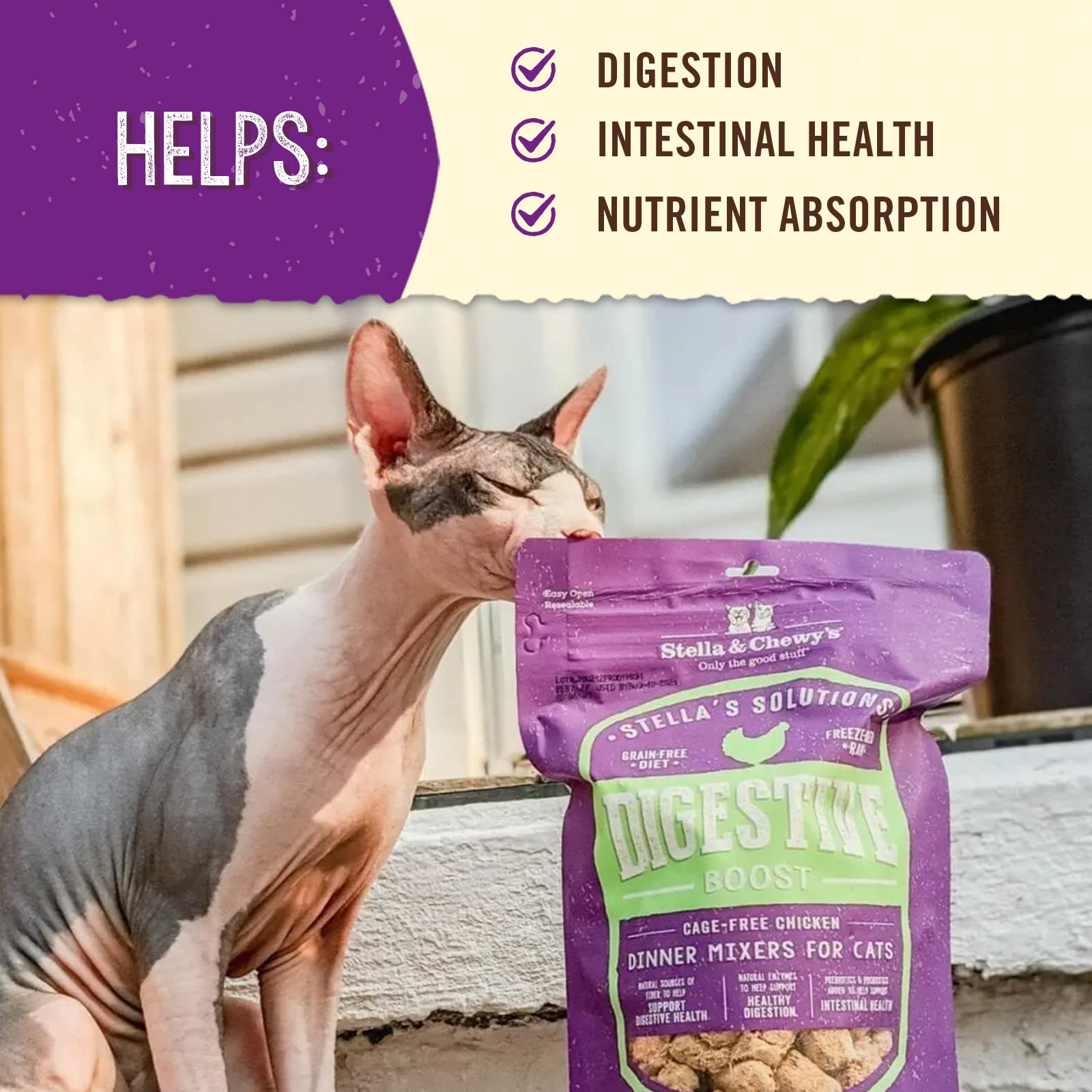 Stella & Chewys - Stellas Solutions Digestive Boost - Cage-Free Chicken Dinner Mixer - Freeze-Dried Raw, Protein Rich, Grain Fr