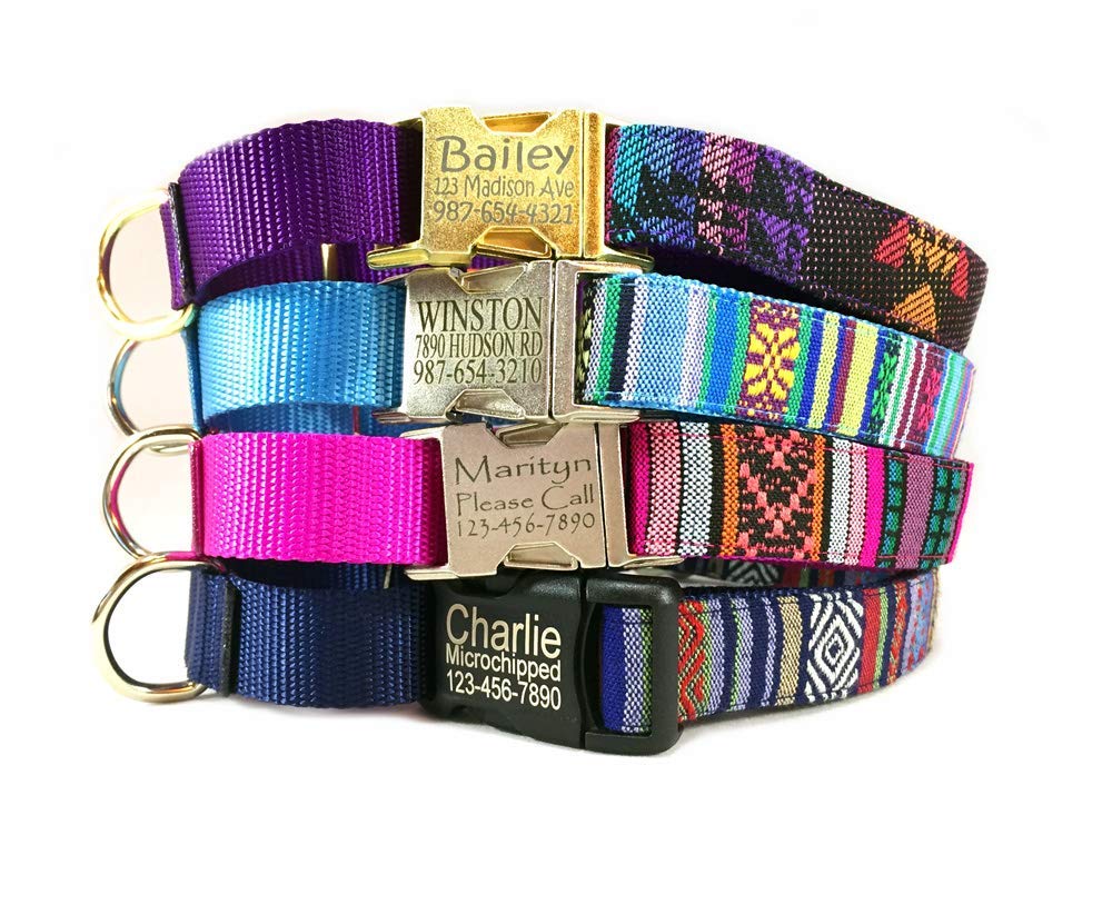 Martingale Dog Collar Personalized Id Laser Engraved Silver Gold Metal Black Plastic Buckle