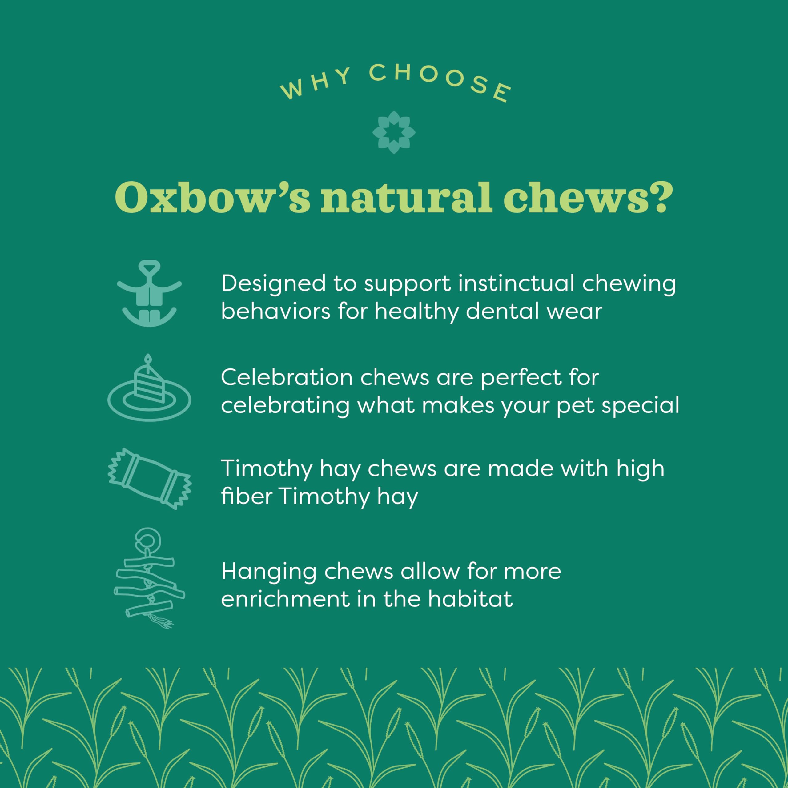 Oxbow Enriched Life Roll Arounds, Rabbit Toys, Guinea Pig Toys, Enrichment for Bunny, Guinea Pig, Hamster, Rabbit, Chinchilla, R