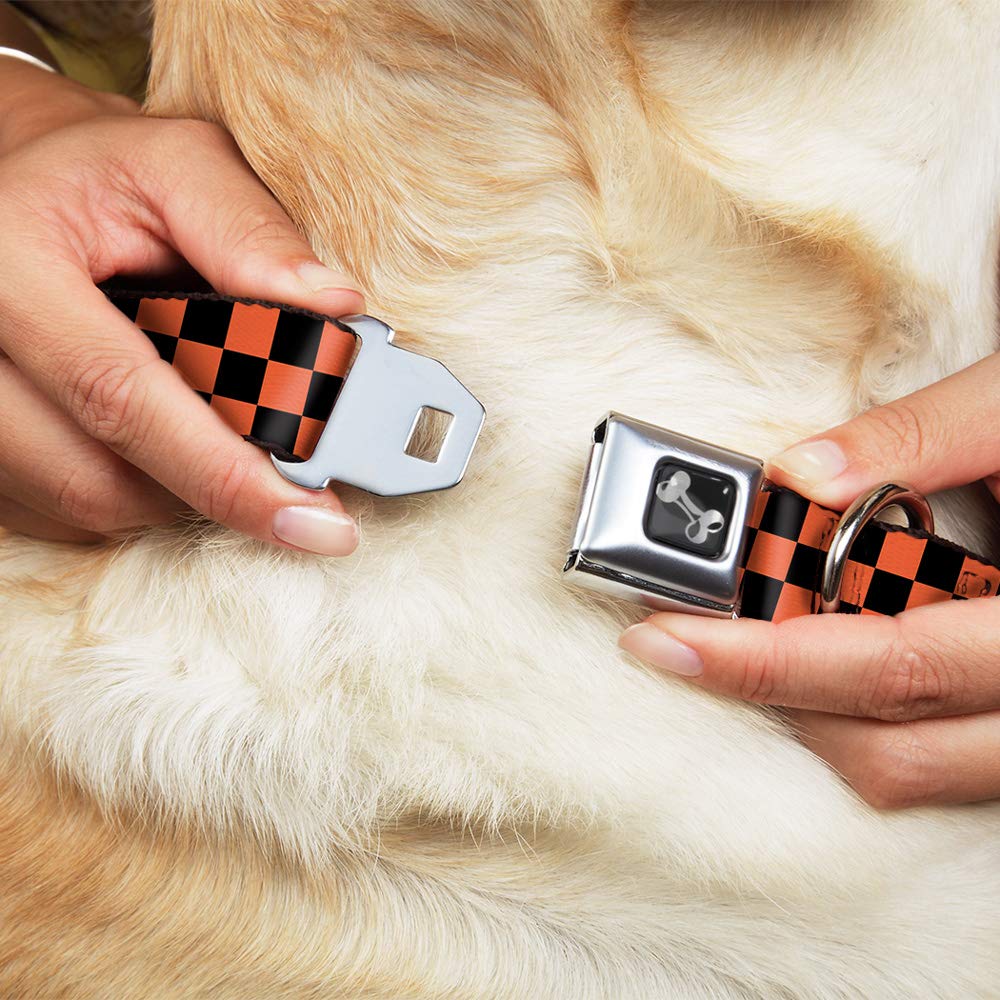 Buckle-Down 13-18 Checker Black/Orange Dog Collar Bone, Wide Small